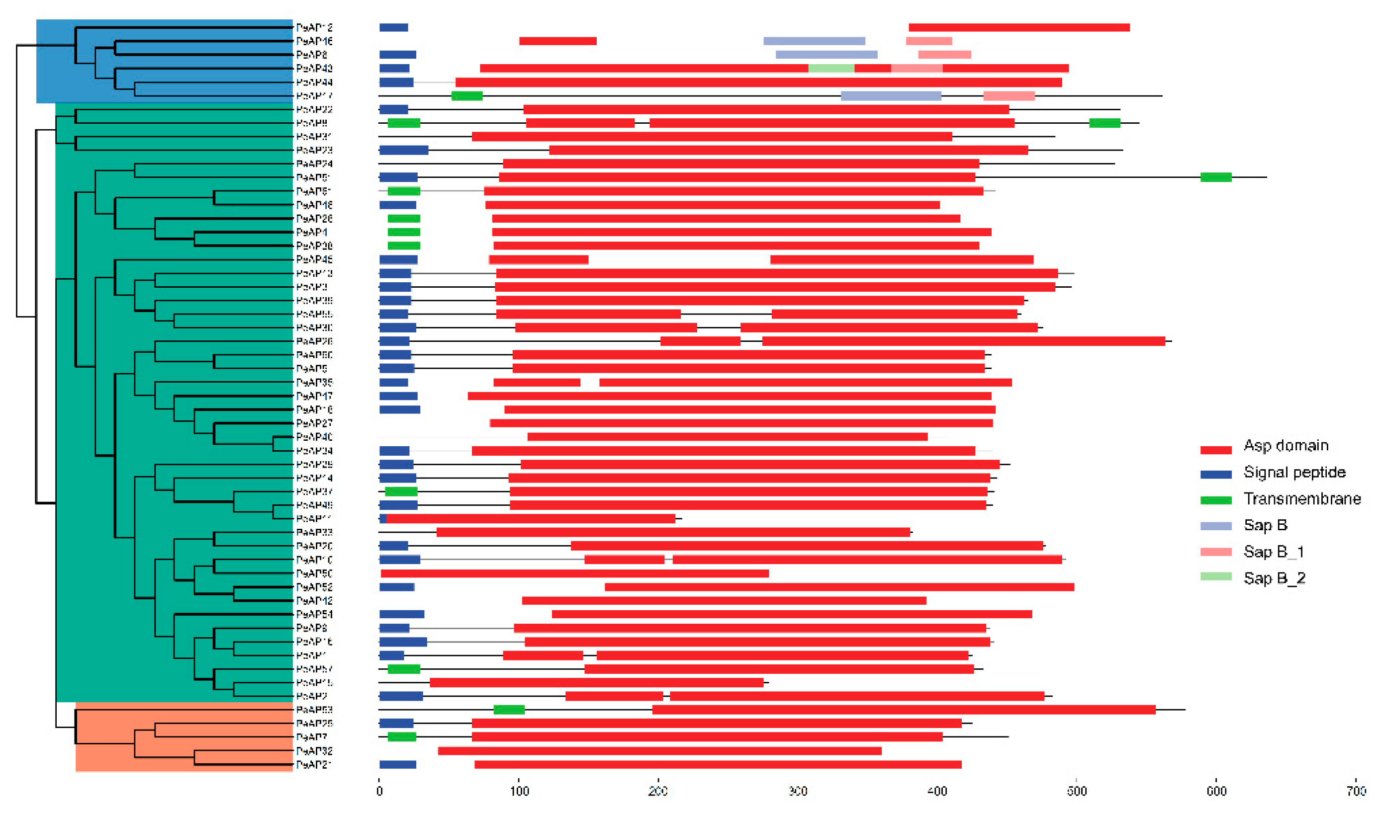 Preprints 161398 g001