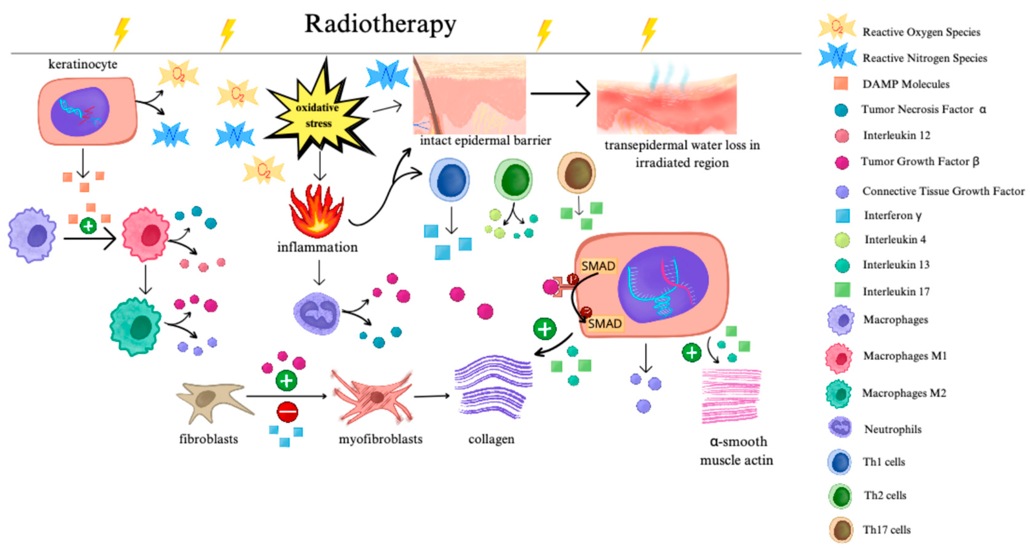 Preprints 157751 g001