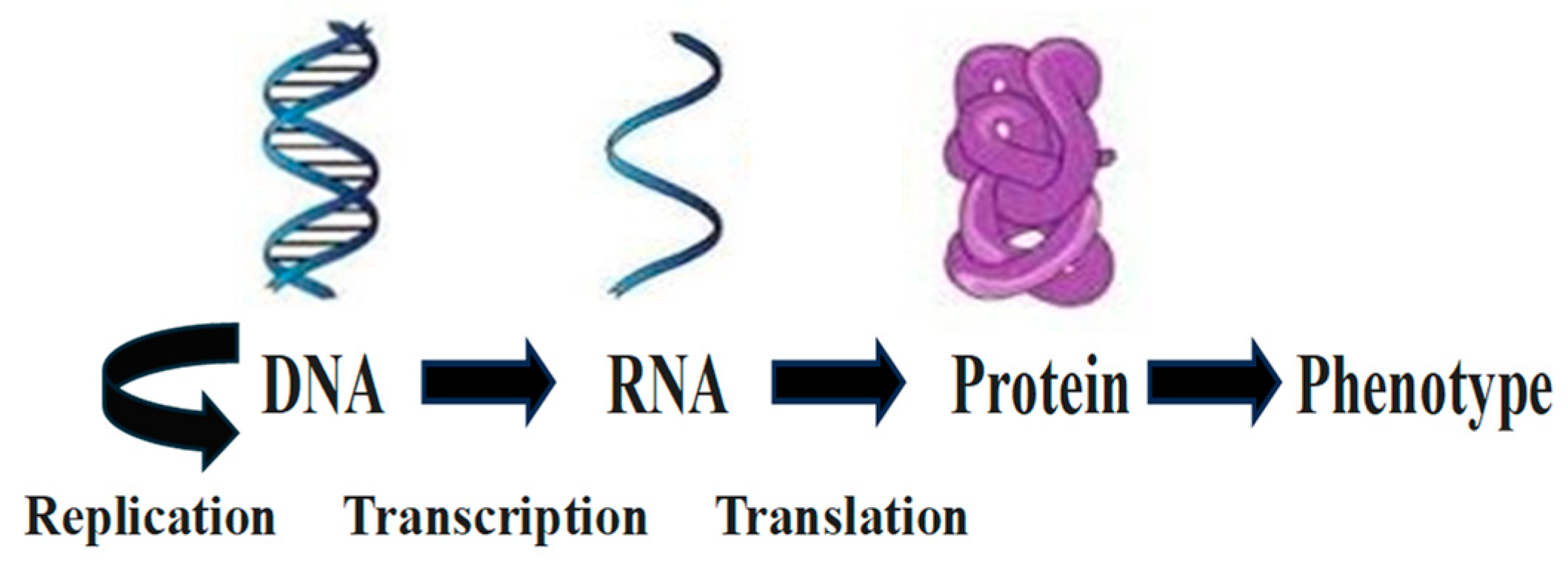 Preprints 139337 g001