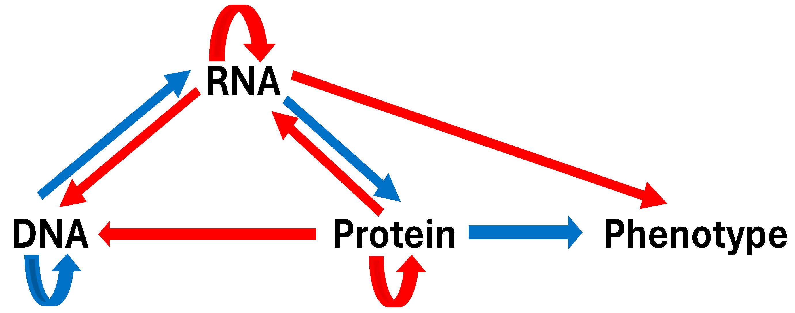 Preprints 139337 g003