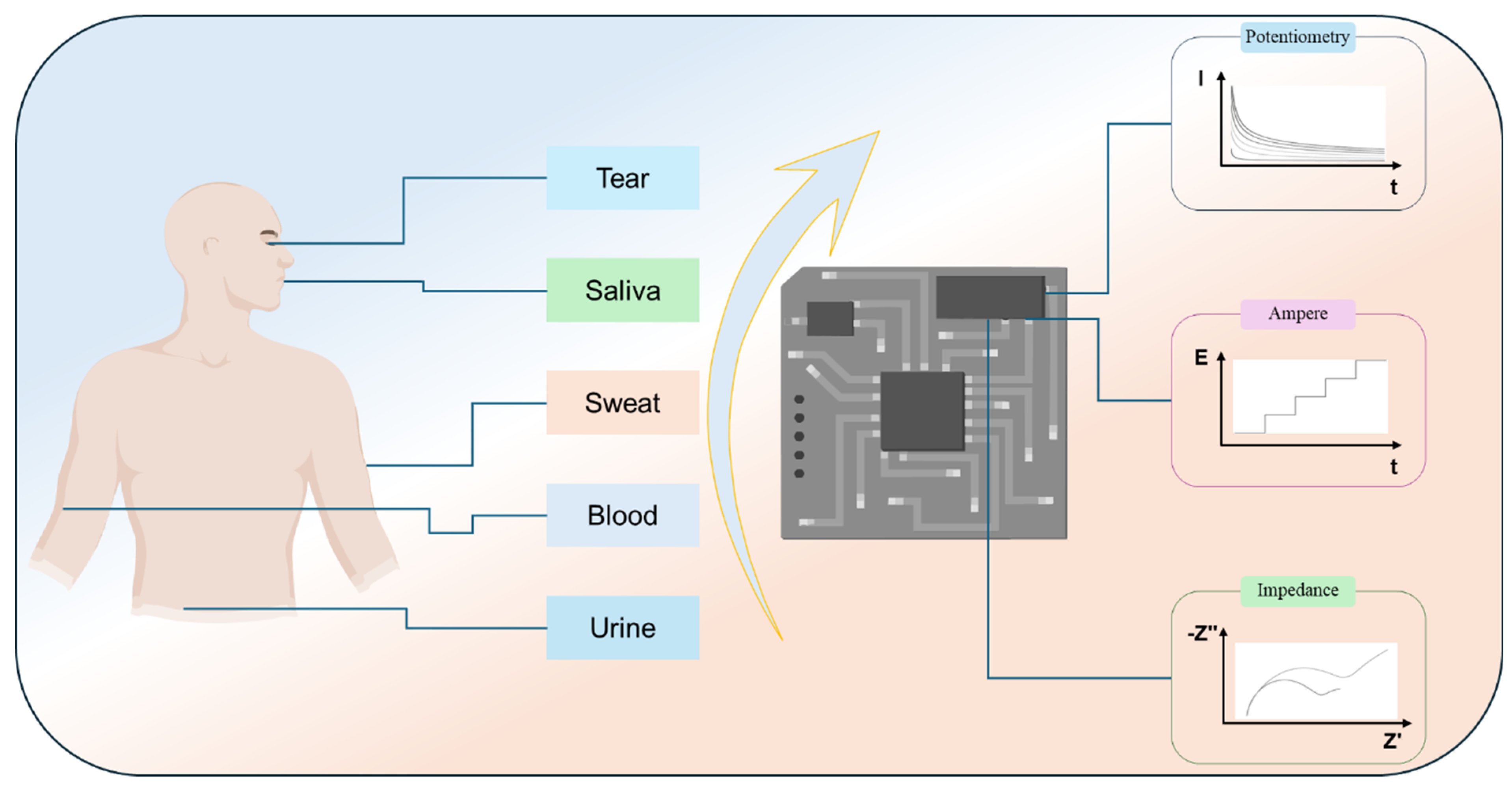 Preprints 195816 g001