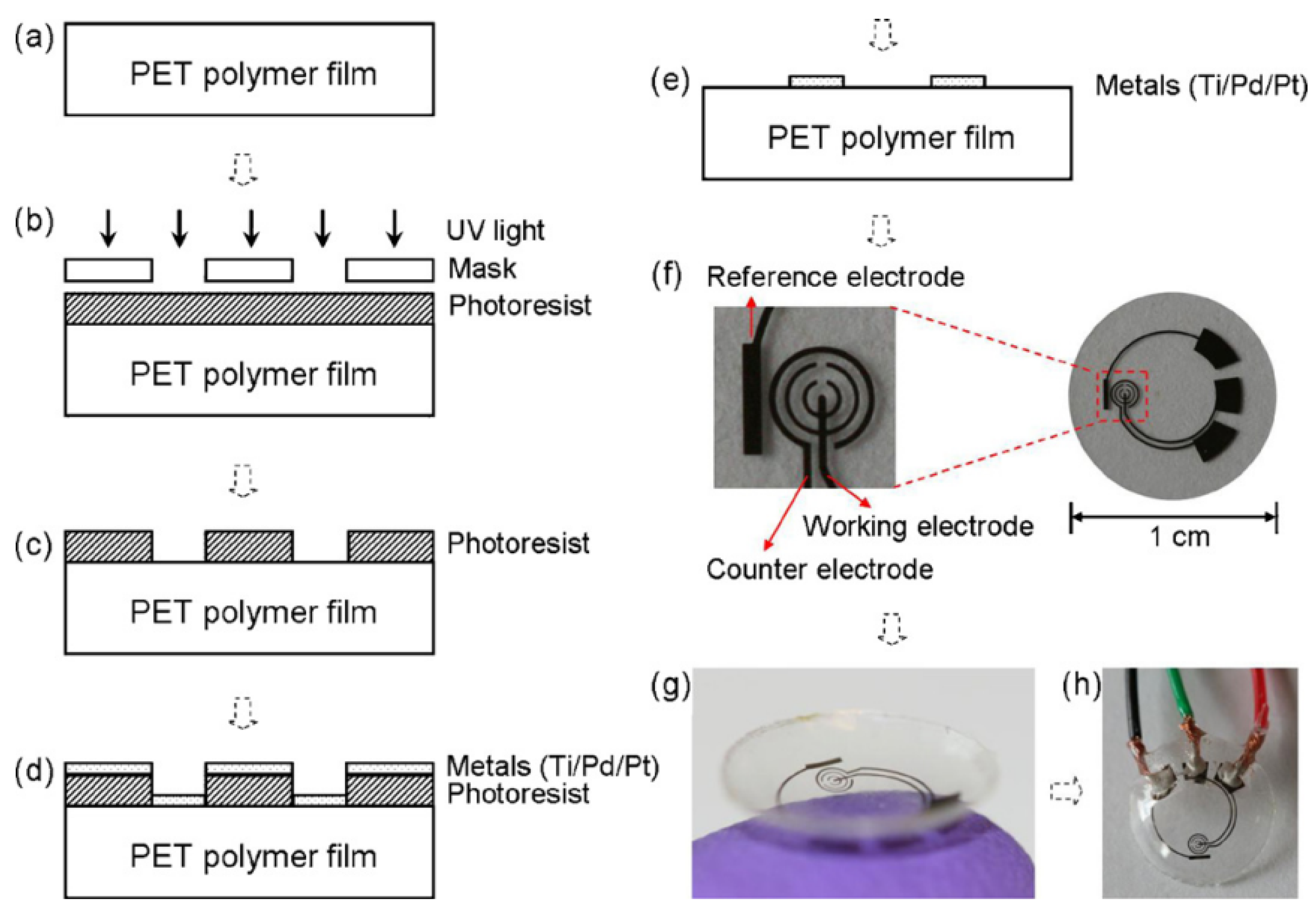 Preprints 195816 g003