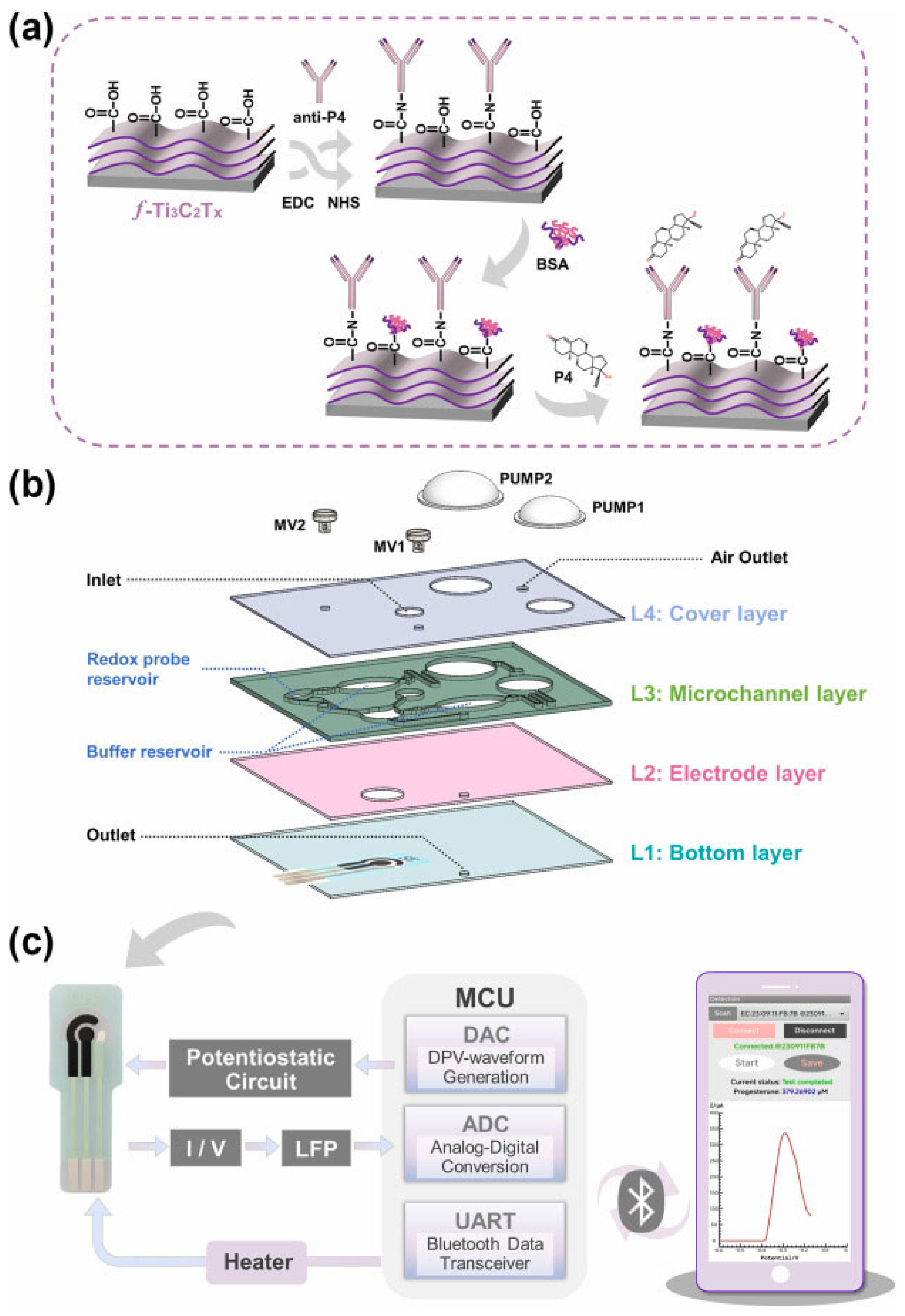 Preprints 195816 g004