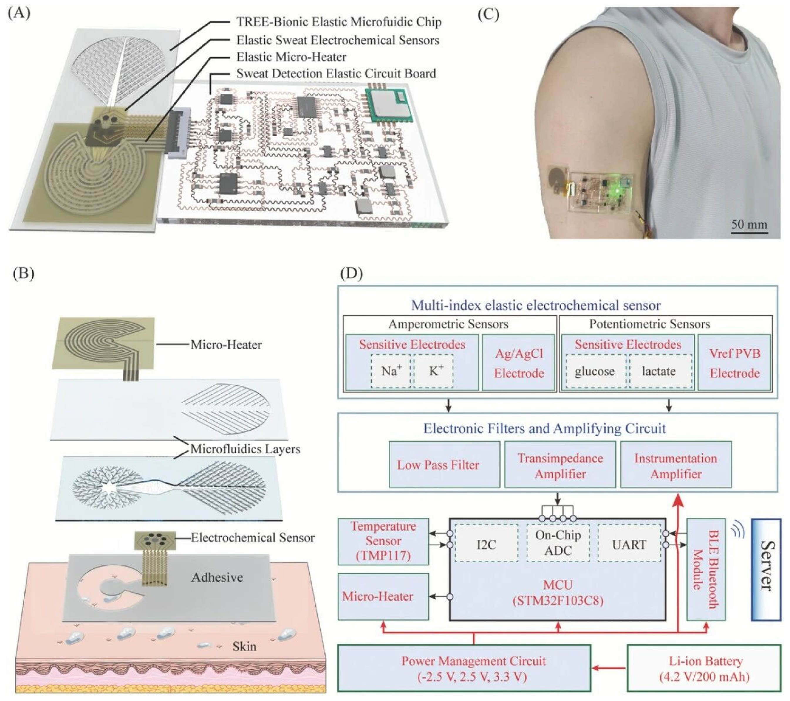 Preprints 195816 g005