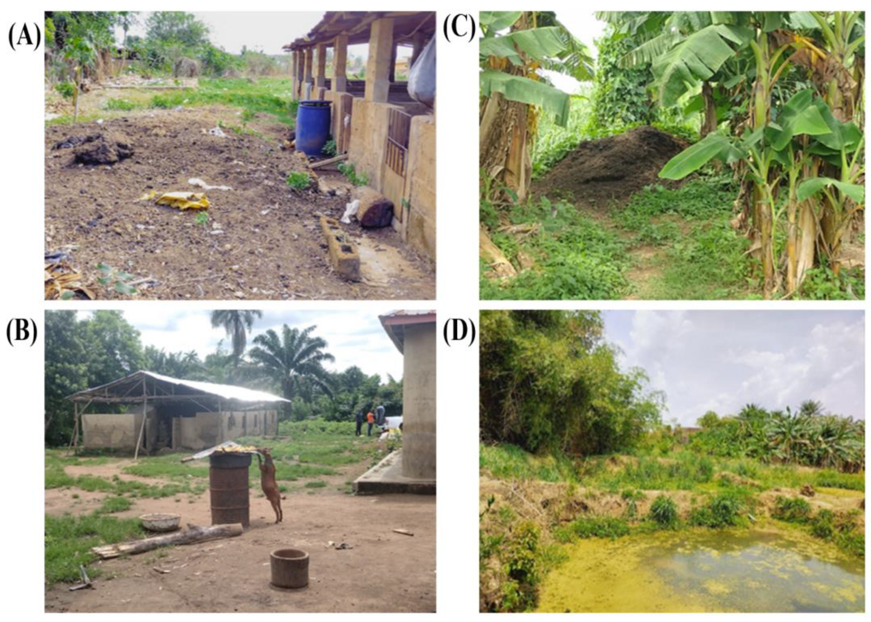 Preprints 171218 g004