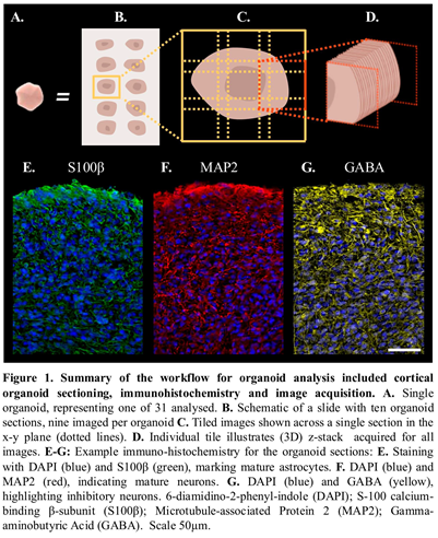 Preprints 139730 i001