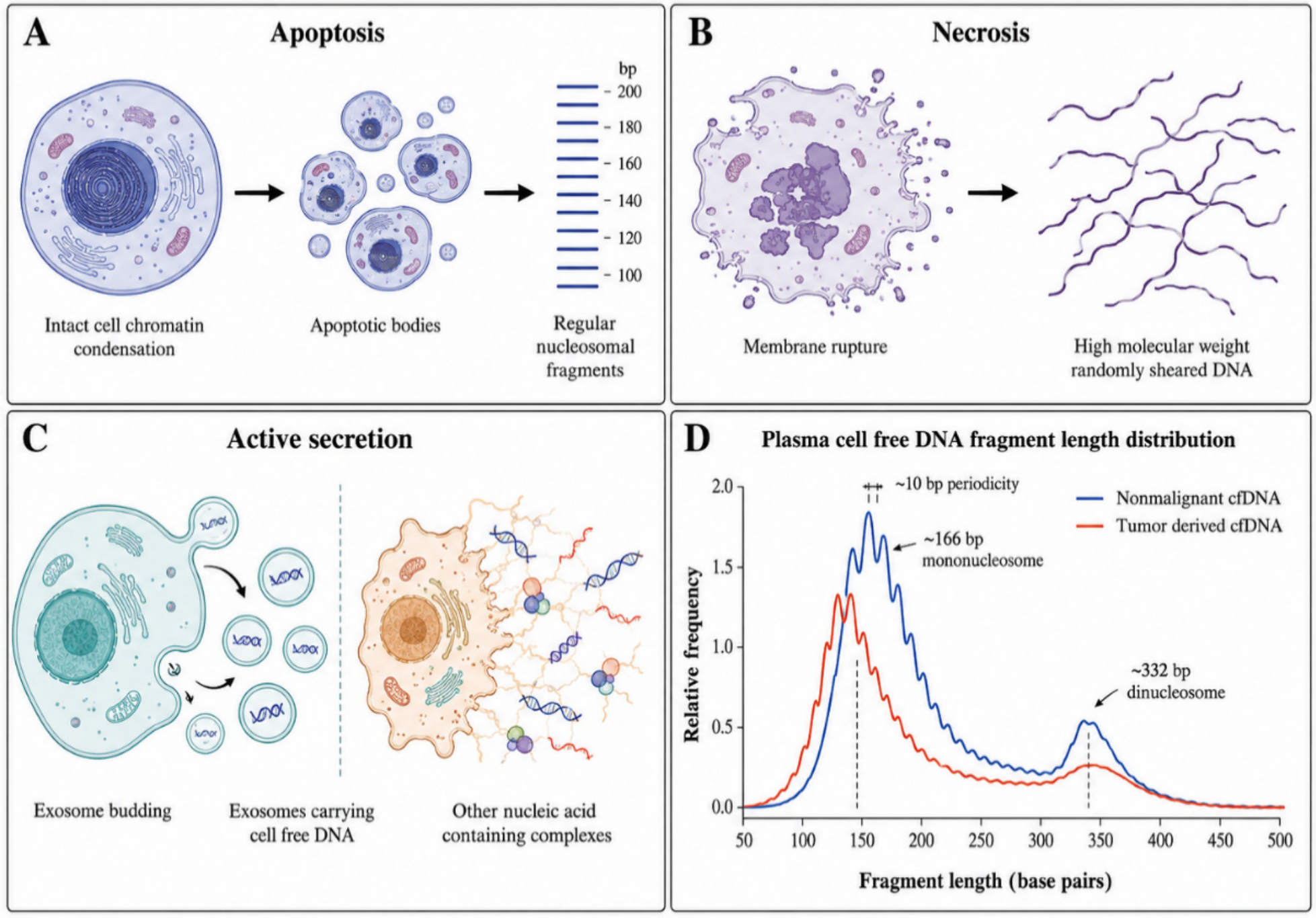 Preprints 232087 g001 Preprints 232087 g001