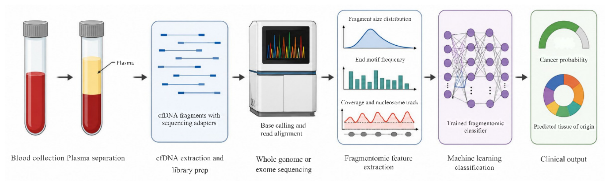 Preprints 232087 g003 Preprints 232087 g003