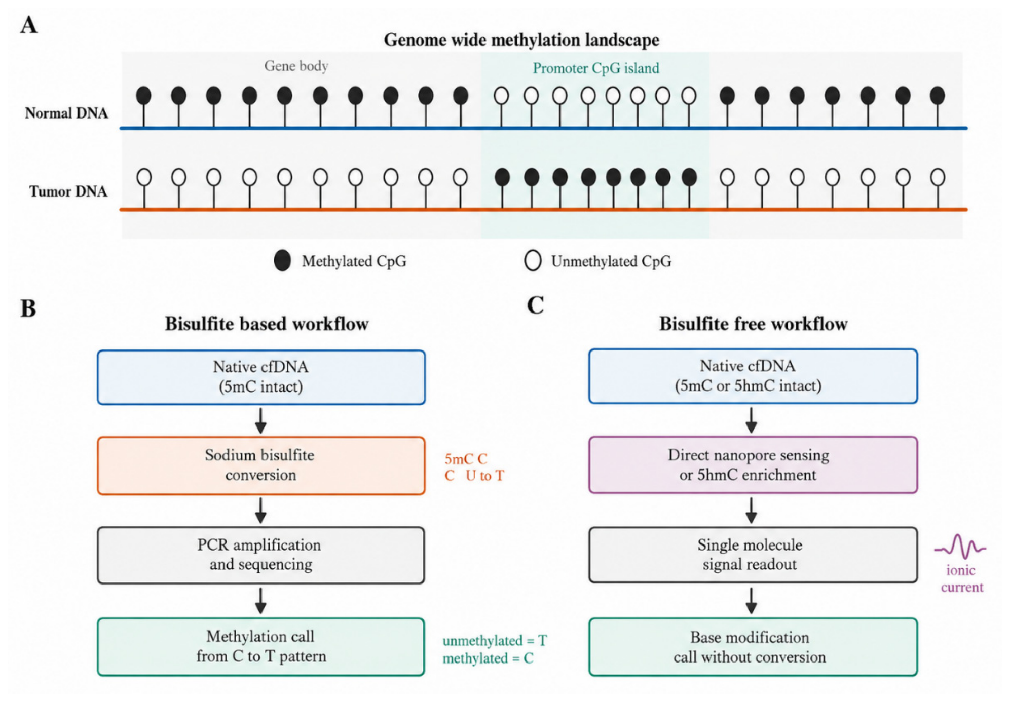 Preprints 232087 g004 Preprints 232087 g004