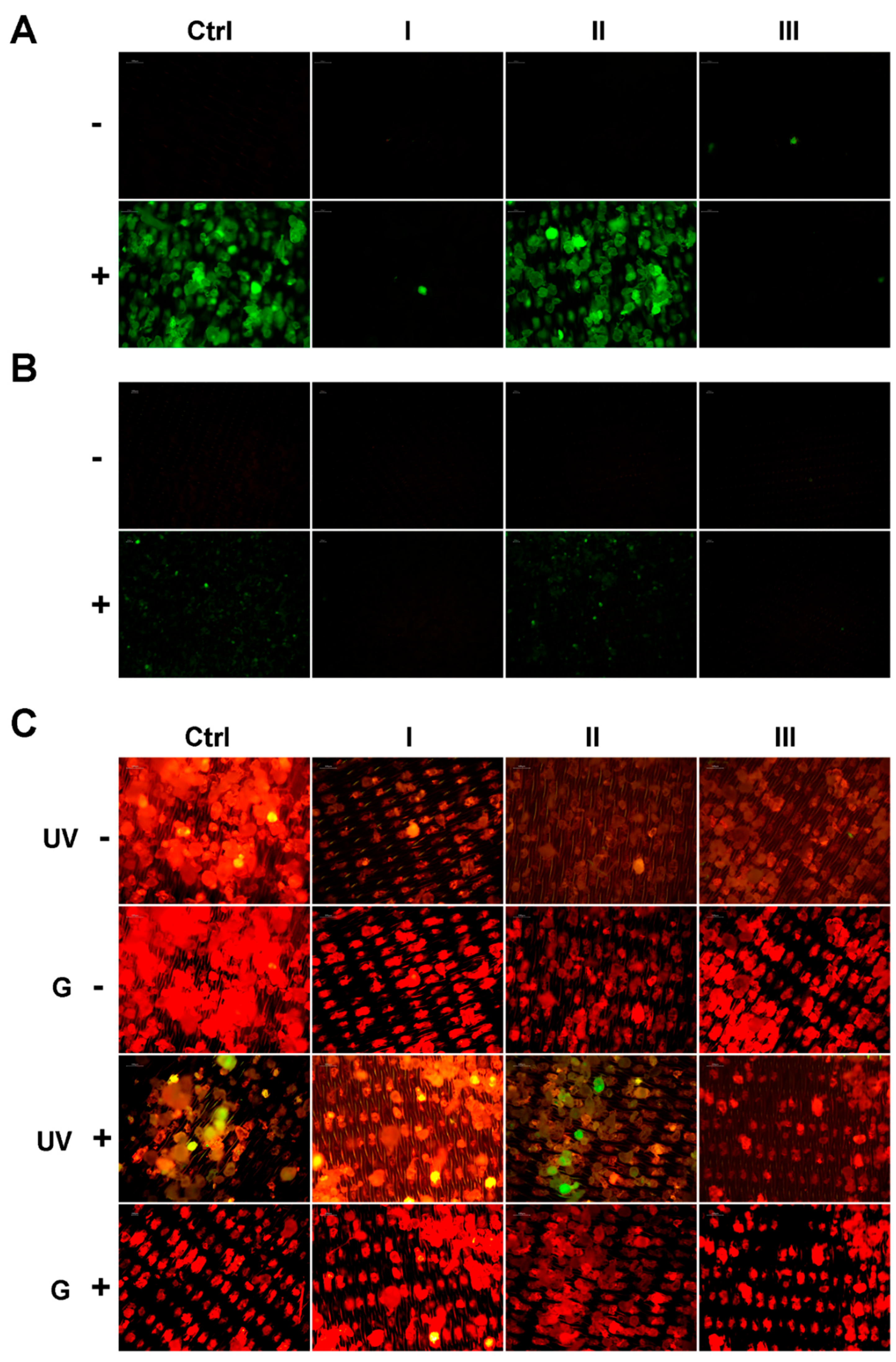 Preprints 173227 g002