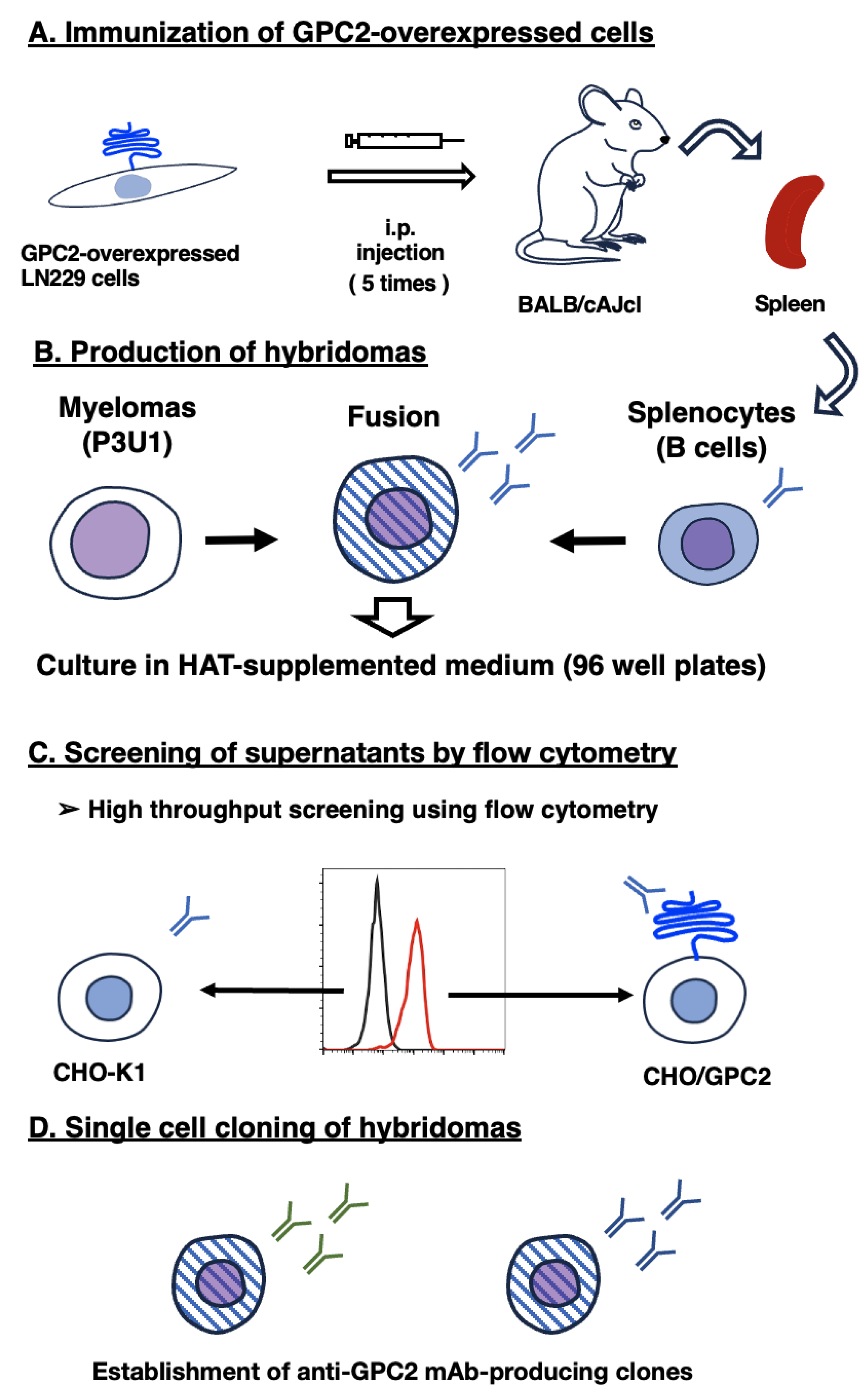 Preprints 197031 g001