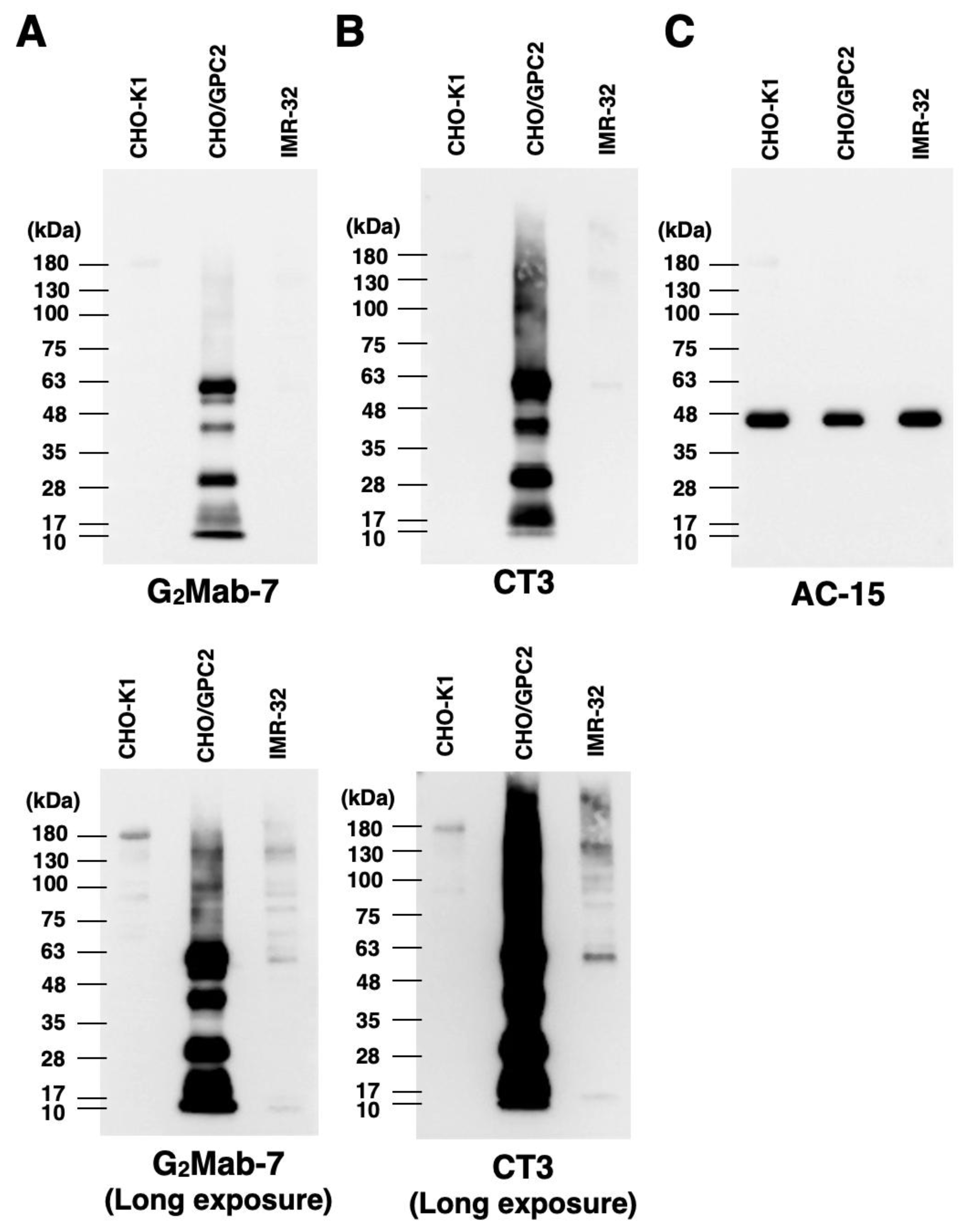 Preprints 197031 g006