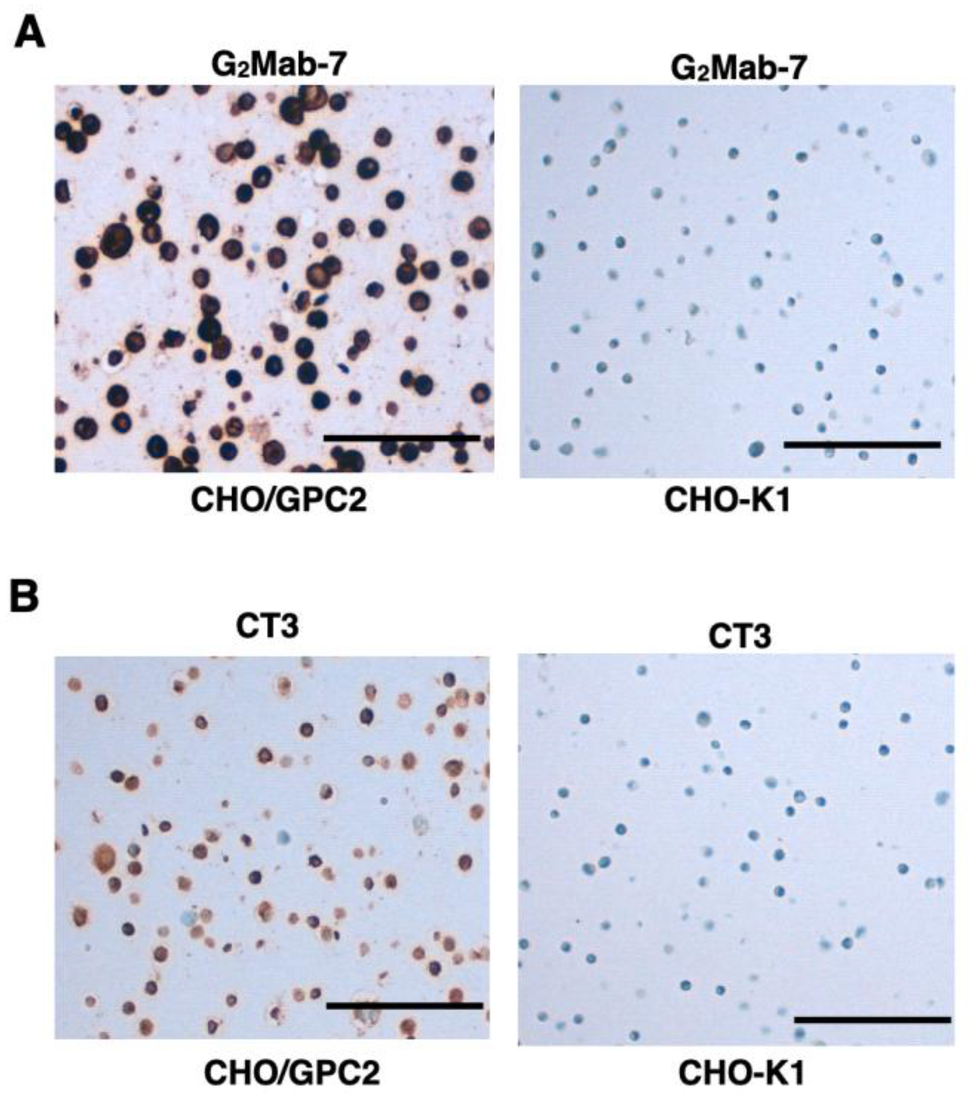Preprints 197031 g007