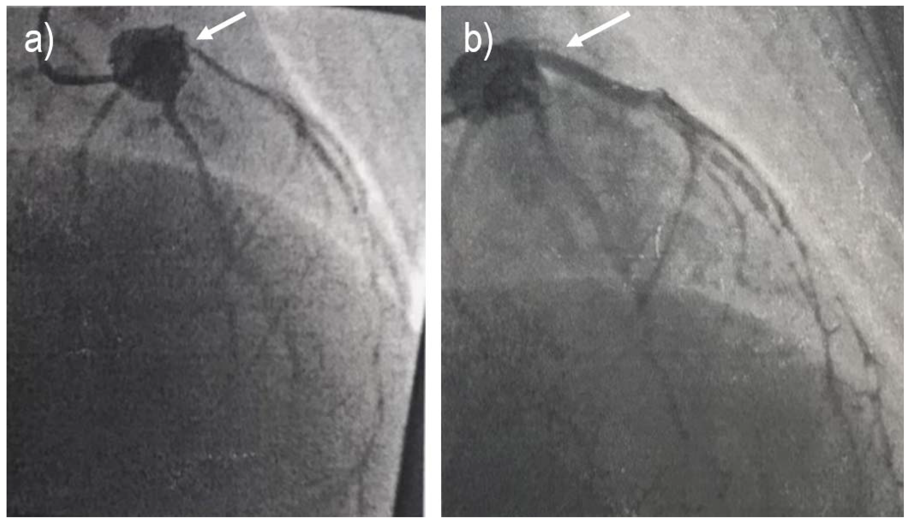 Preprints 81332 g002
