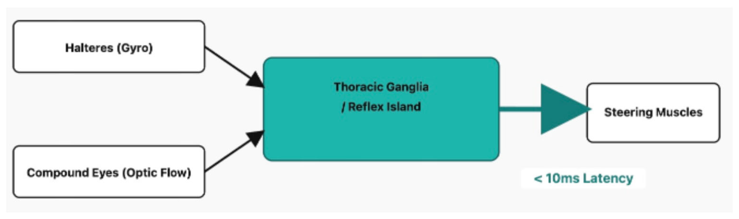 Preprints 185568 g001