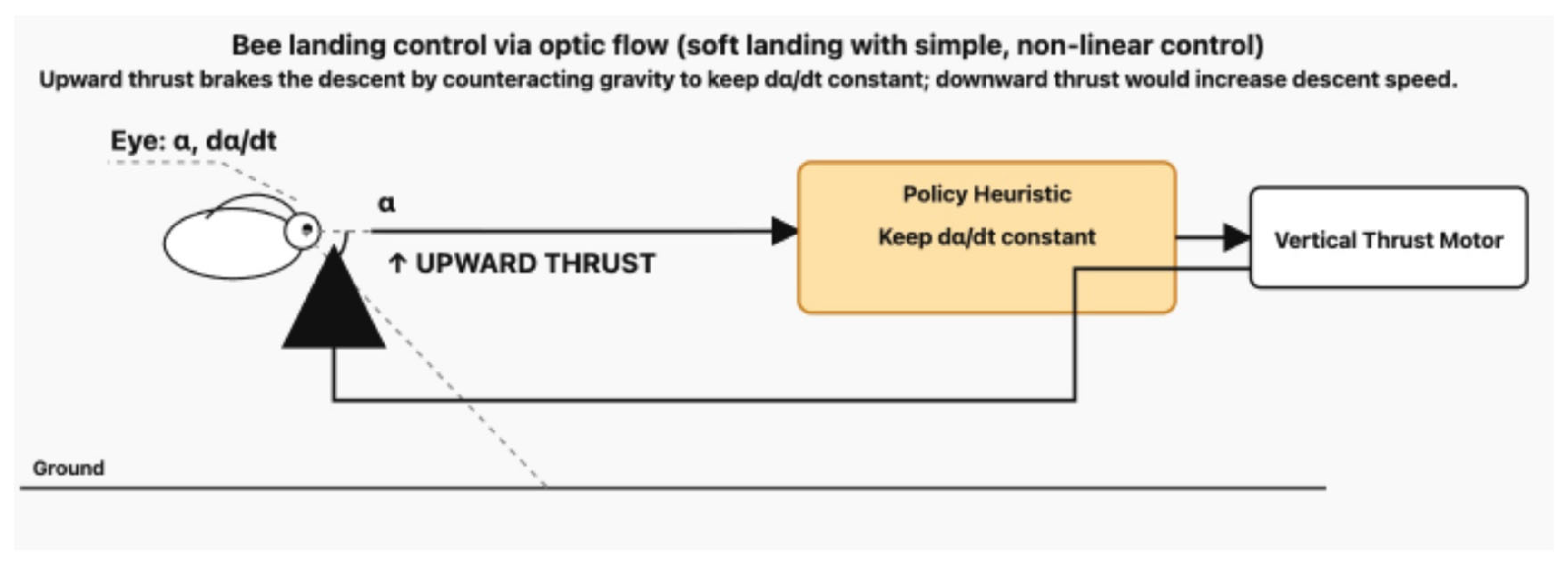 Preprints 185568 g003