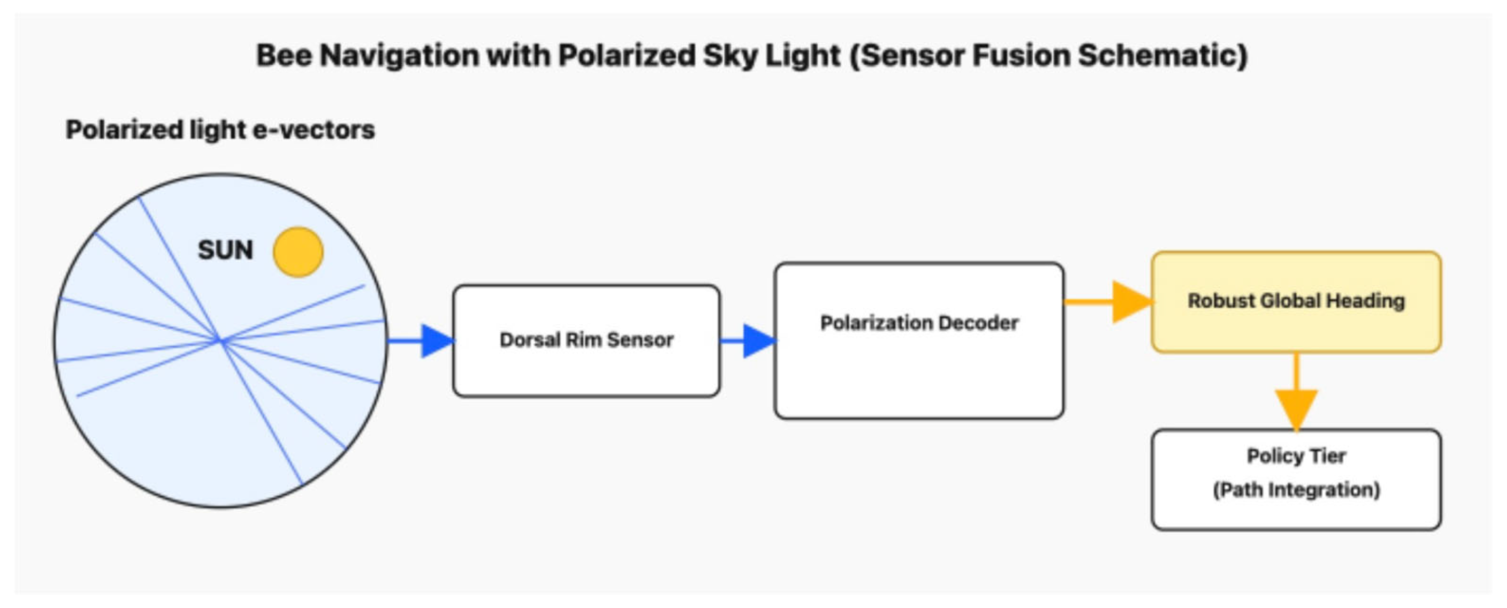 Preprints 185568 g004