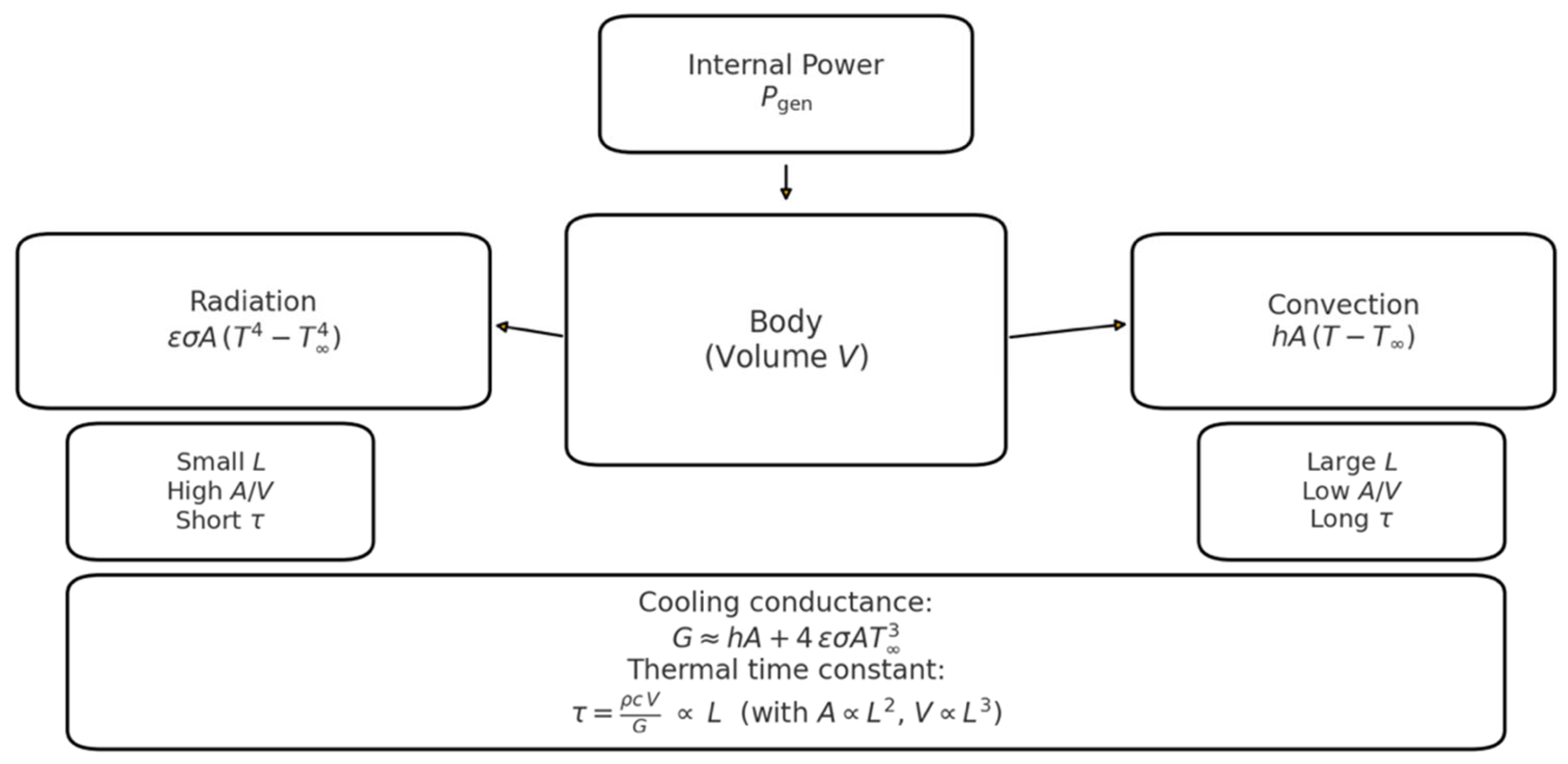 Preprints 185568 g007