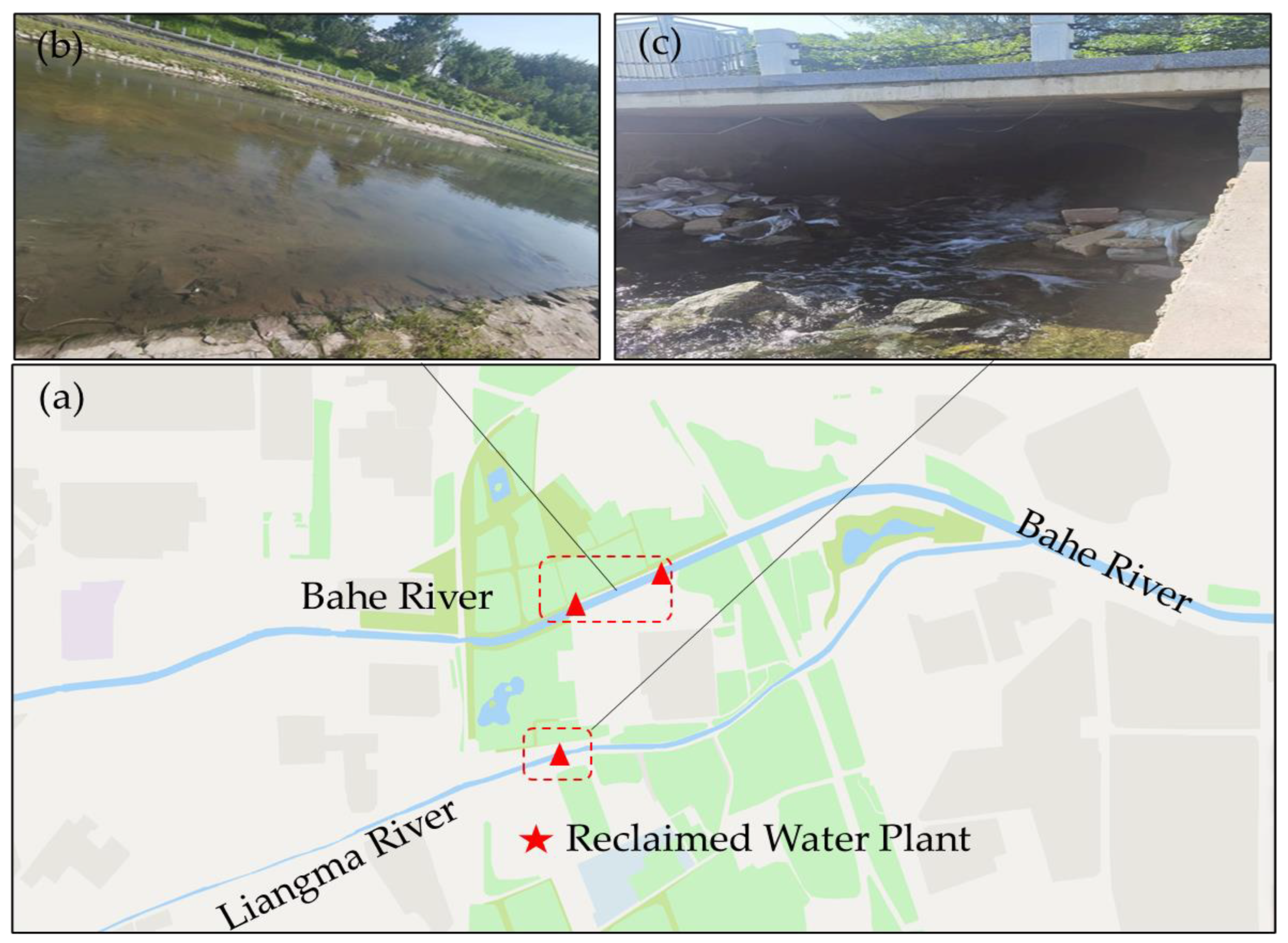 Preprints 71288 g001