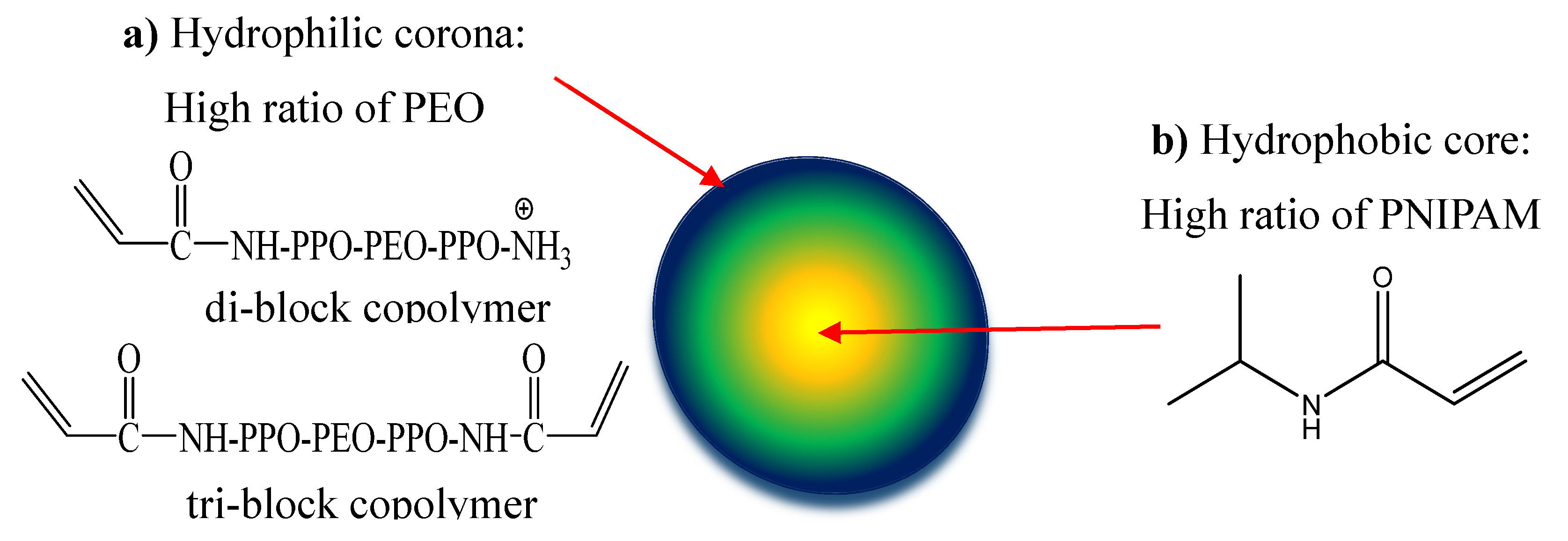 Preprints 157074 g001