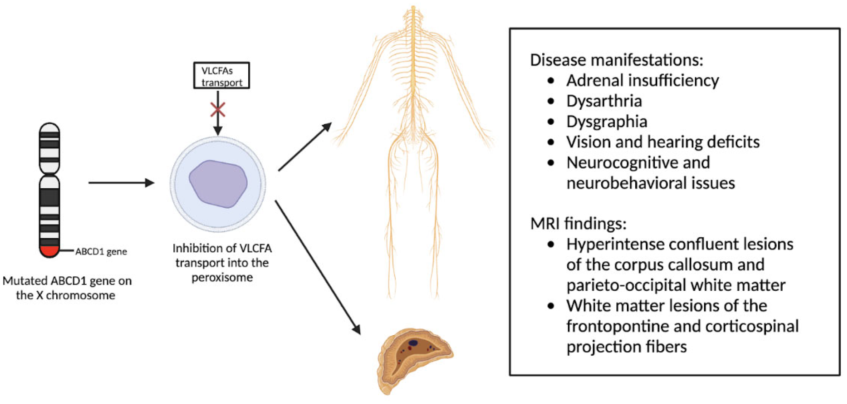 Preprints 89414 g002