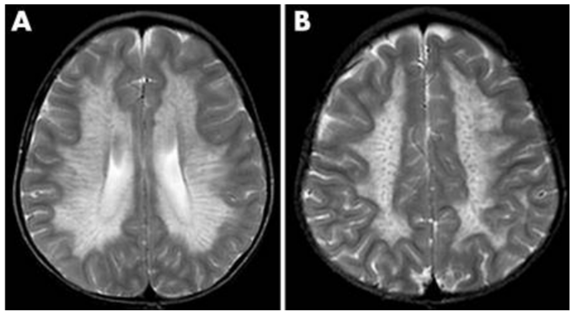 Preprints 89414 g003