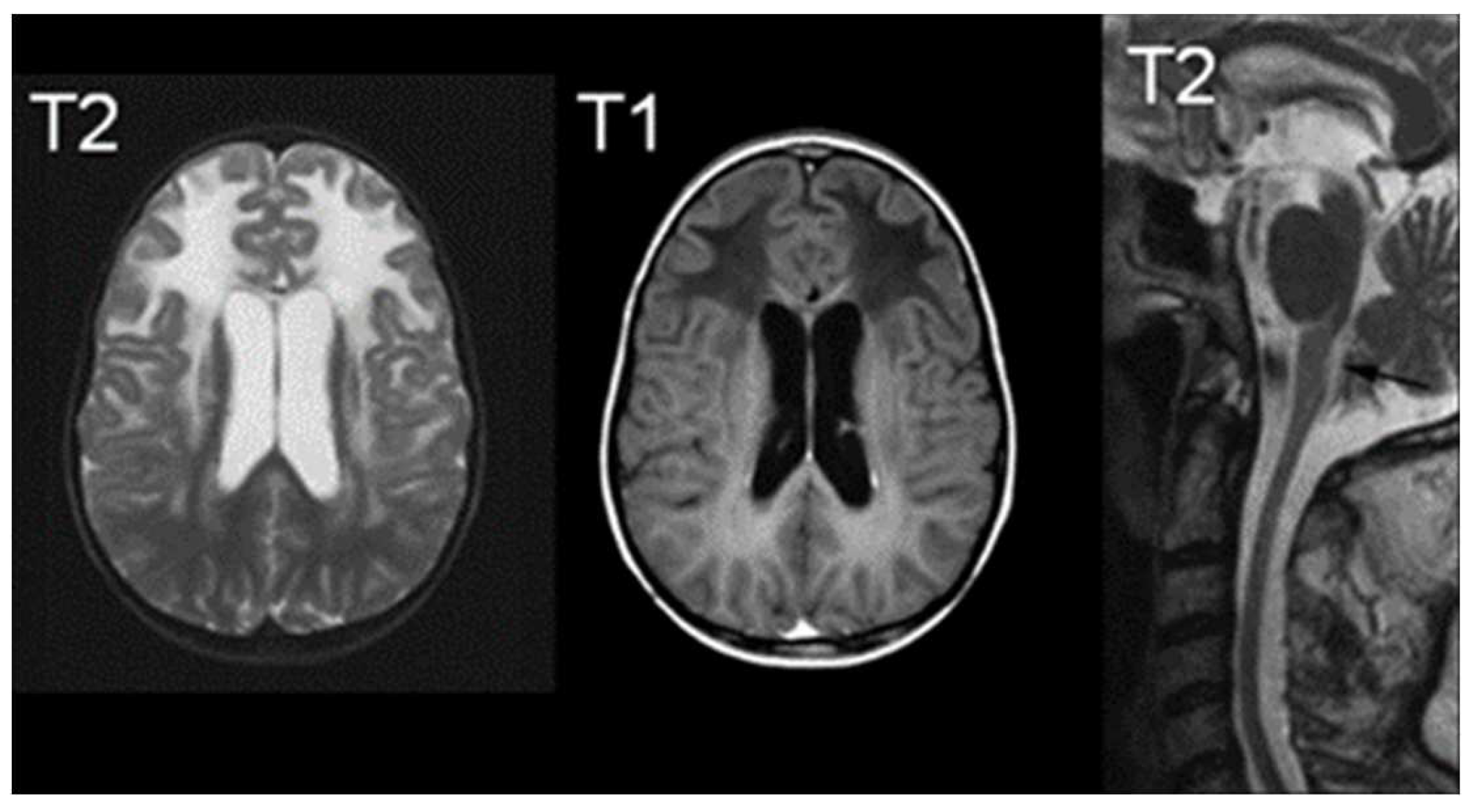 Preprints 89414 g005
