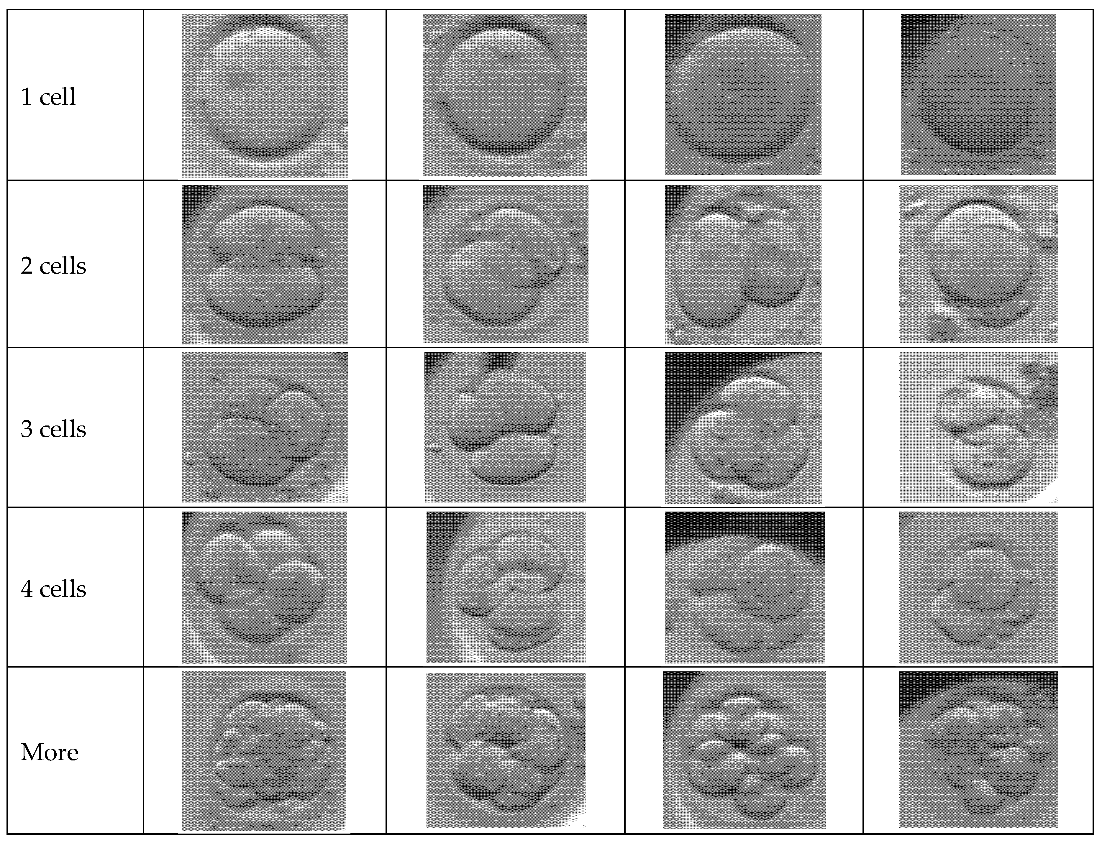 Preprints 196305 g002a