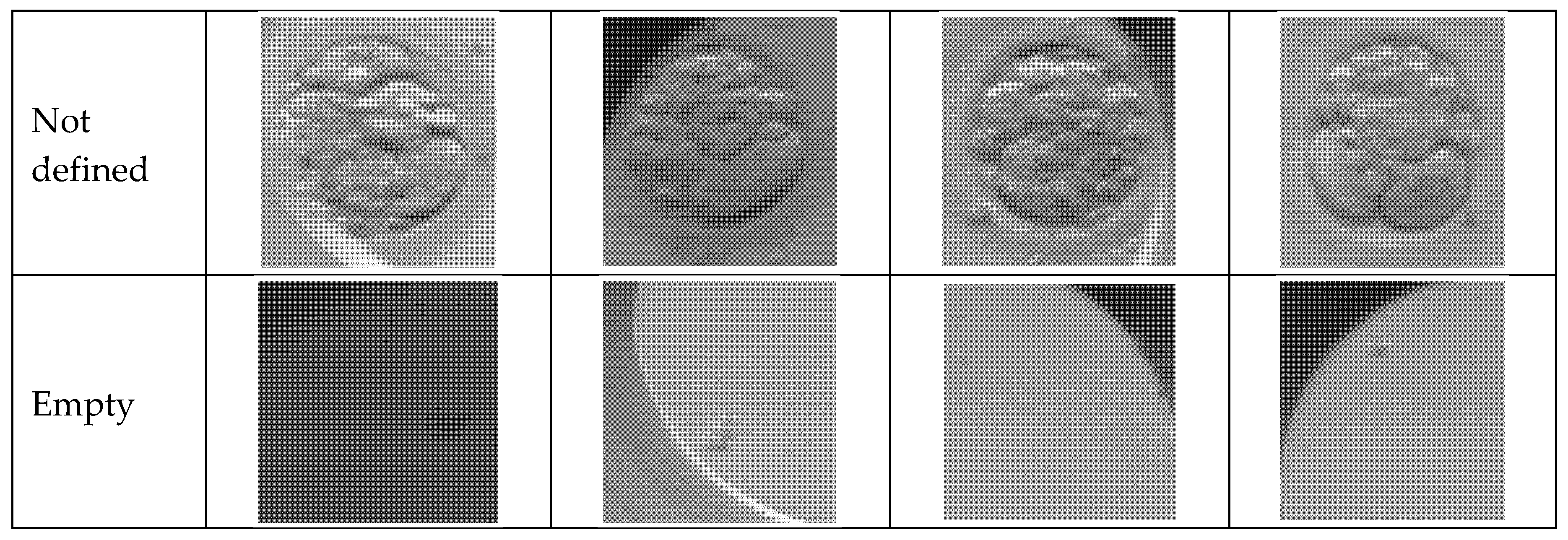 Preprints 196305 g002b