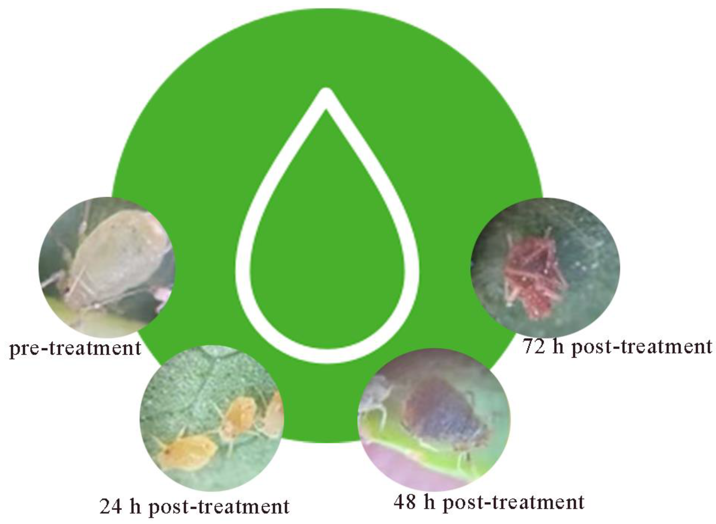 Preprints 145445 g001