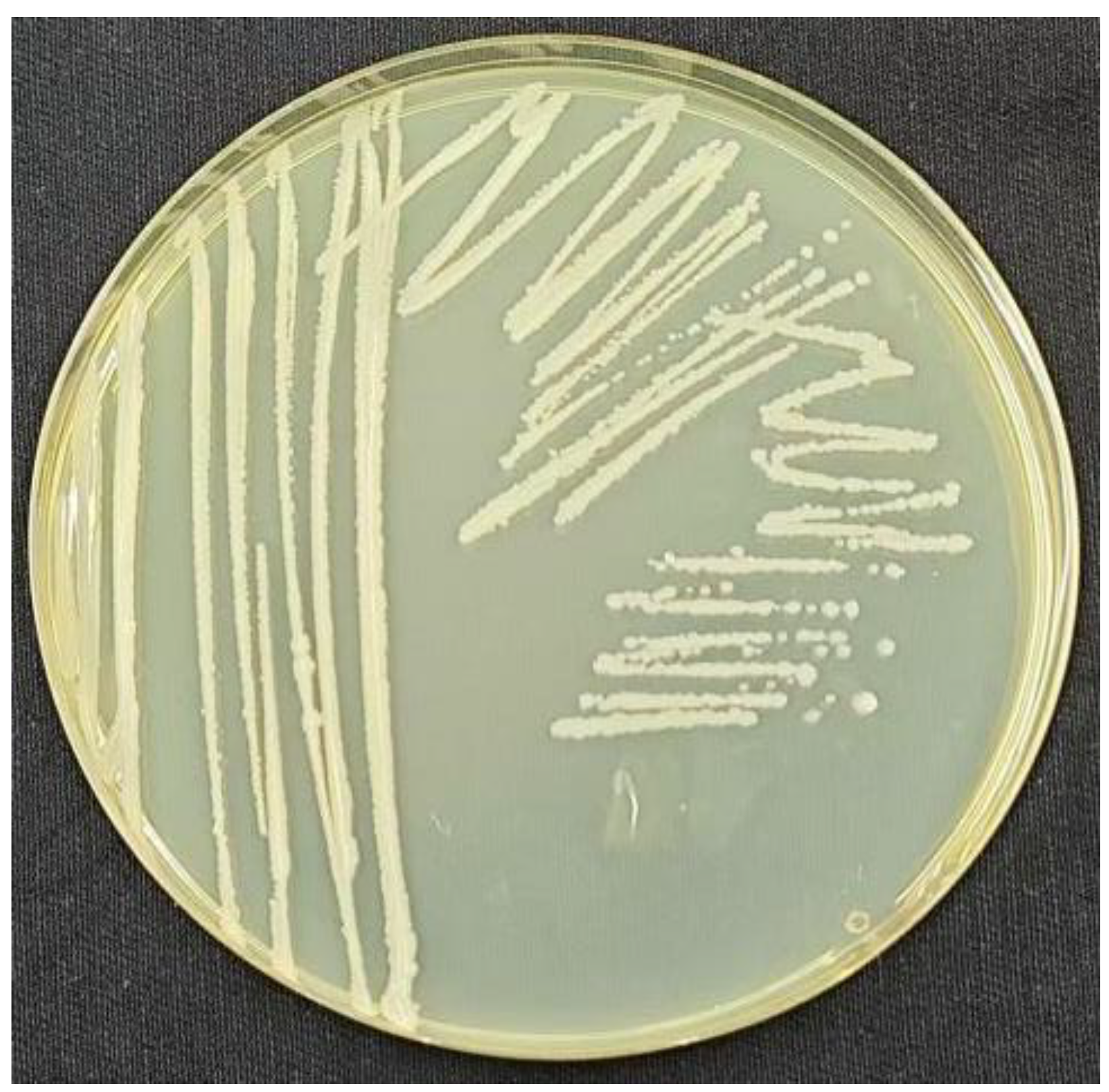 Preprints 145445 g002