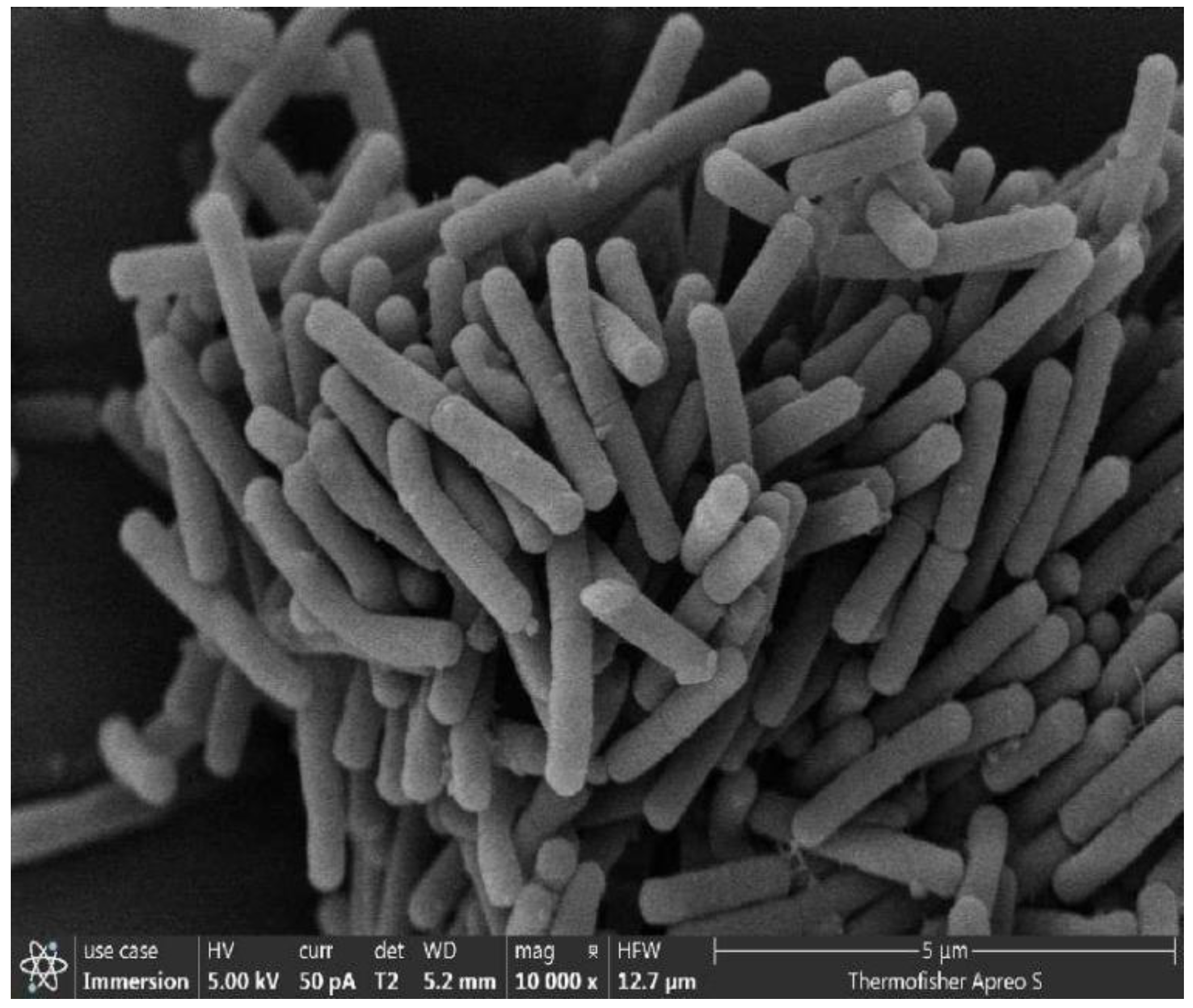 Preprints 145445 g003