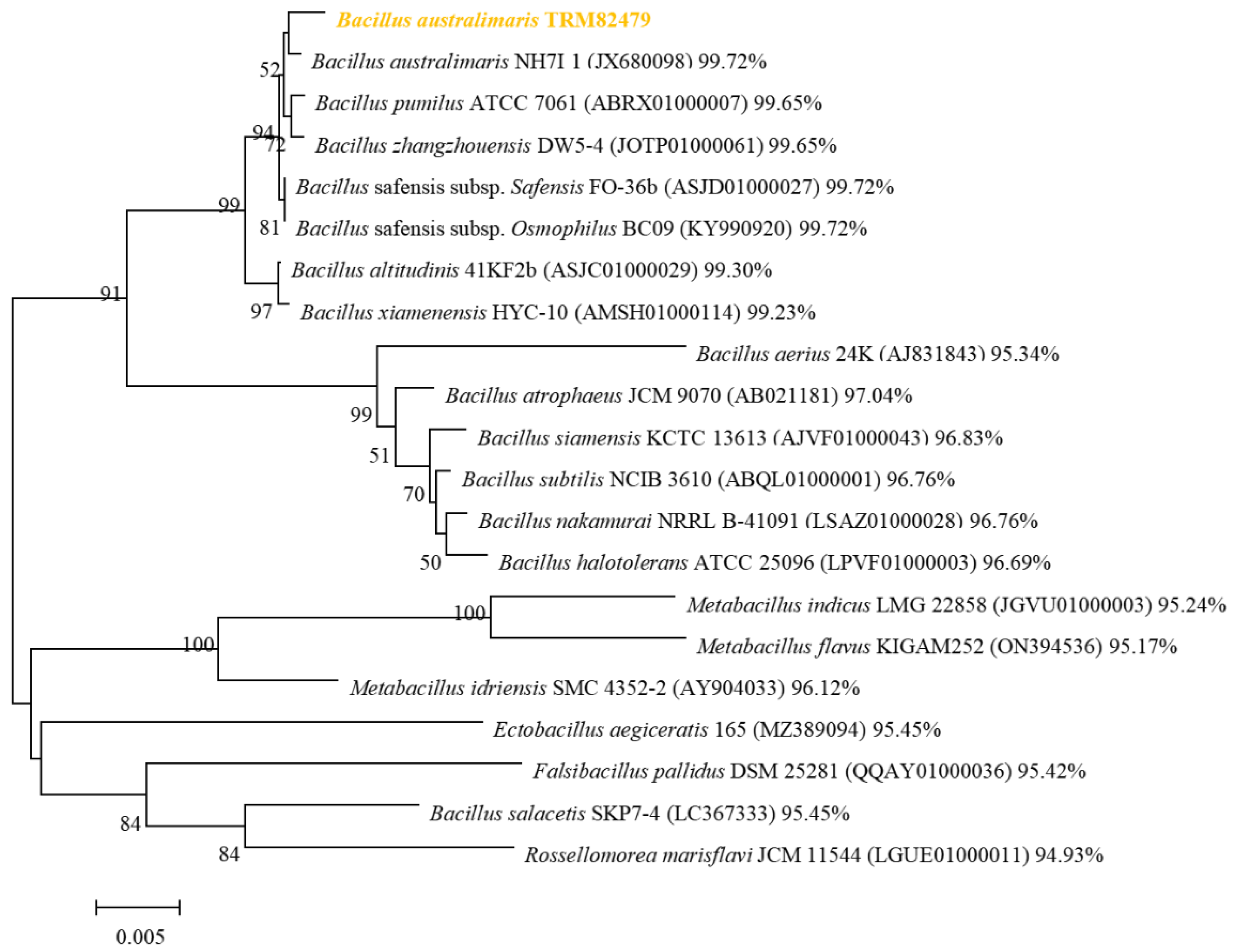 Preprints 145445 g004
