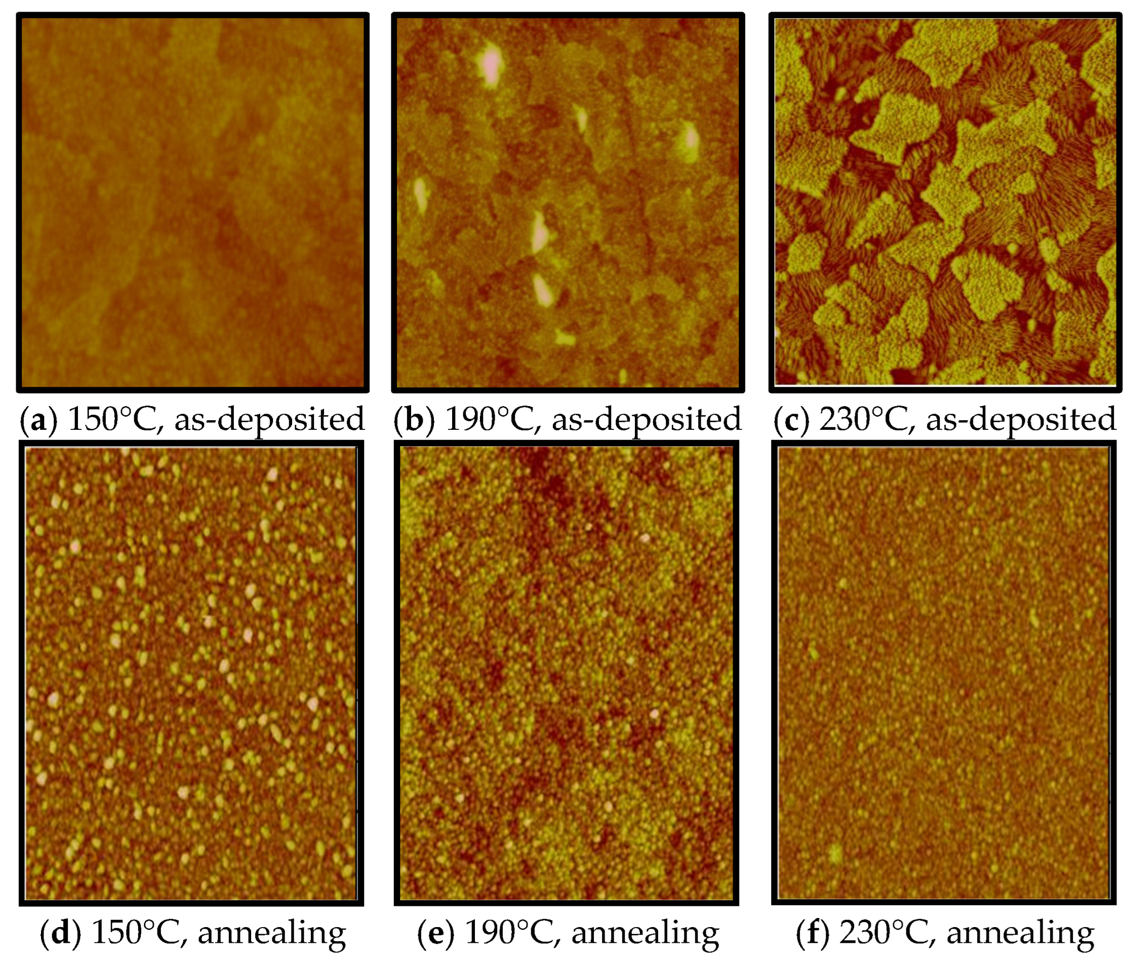 Preprints 182026 g009