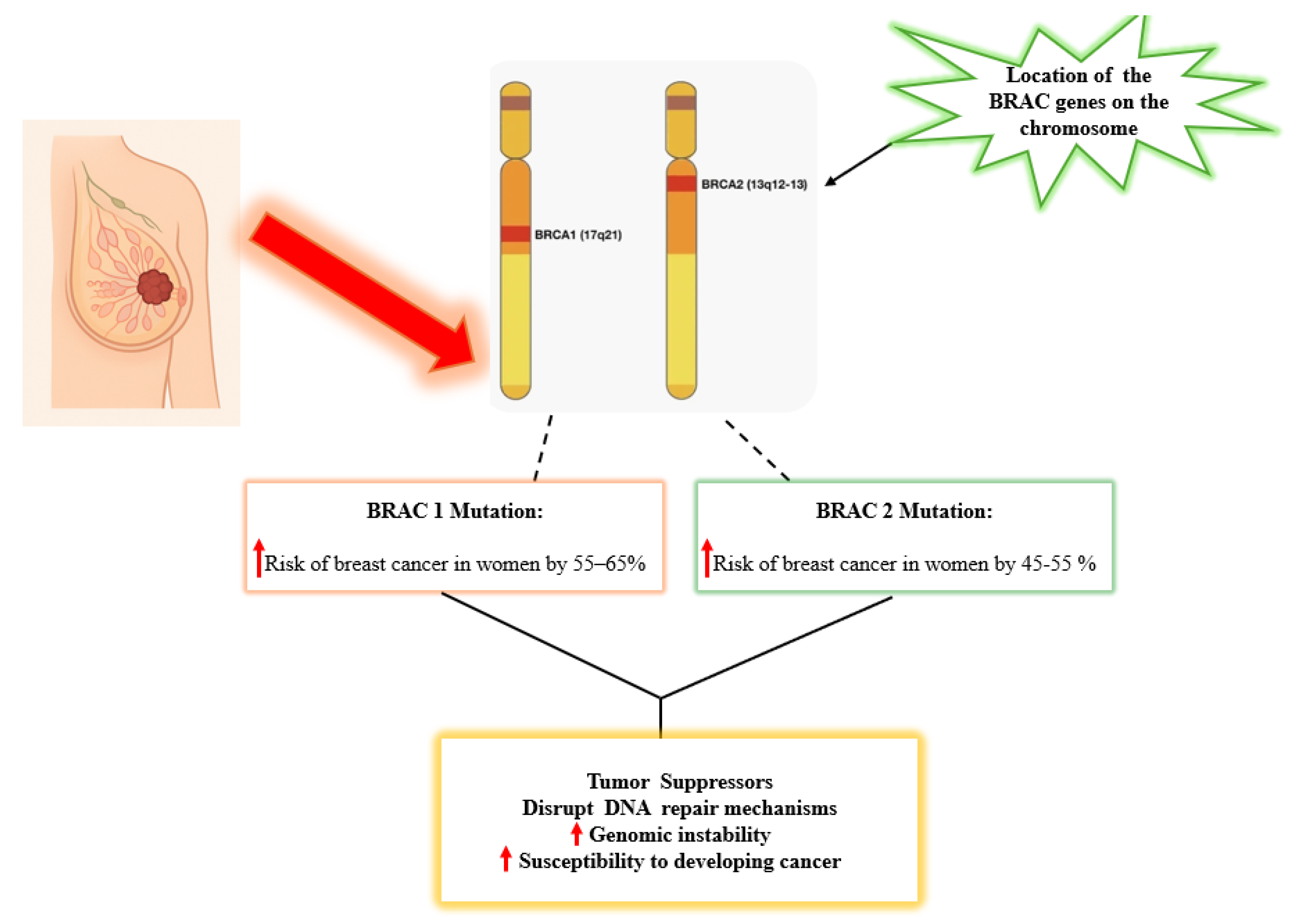 Preprints 181707 g002