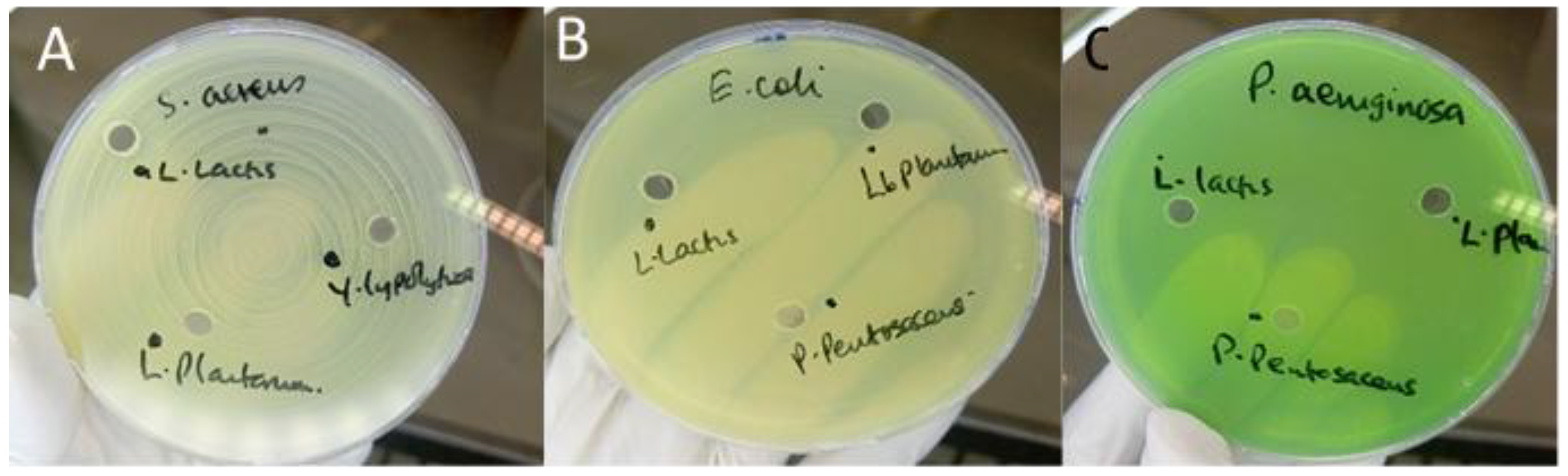 Preprints 189285 g001