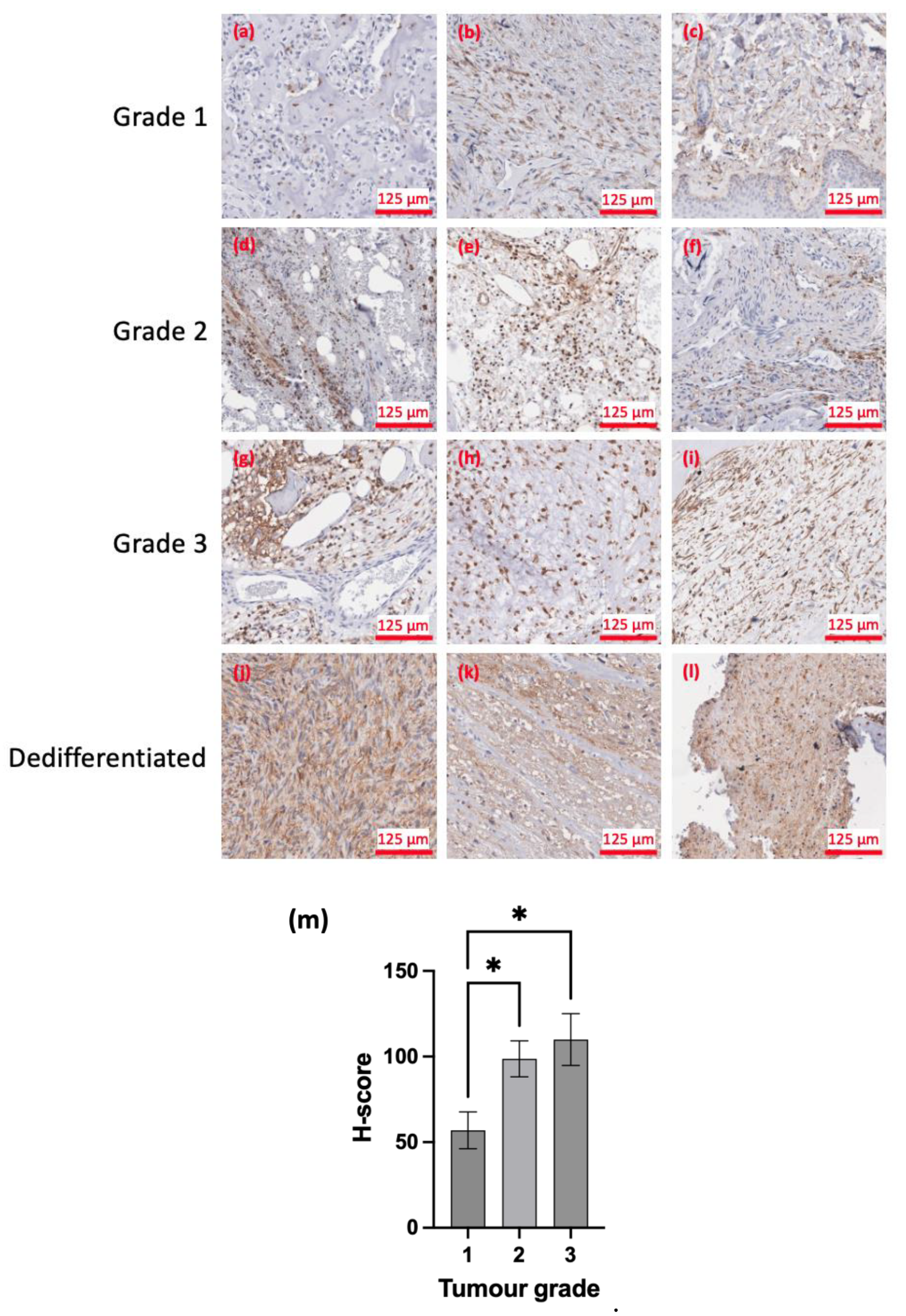 Preprints 169569 g001