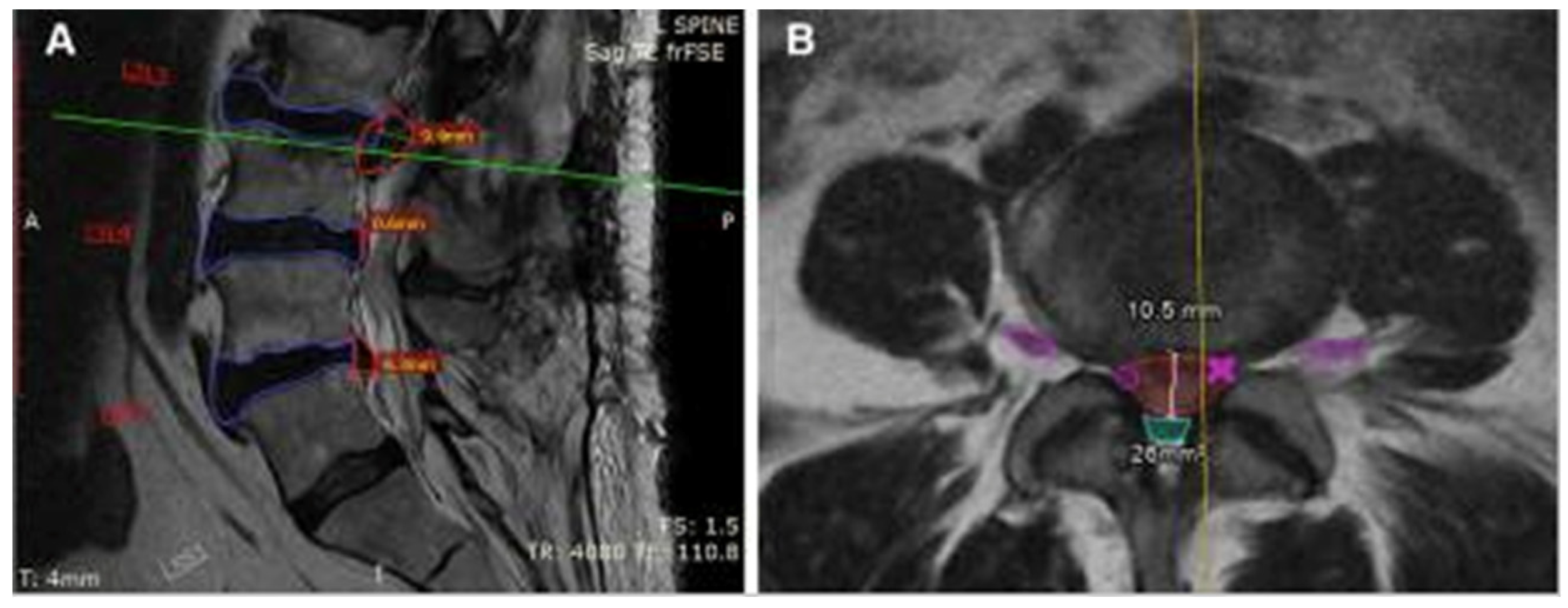 Preprints 157689 g002