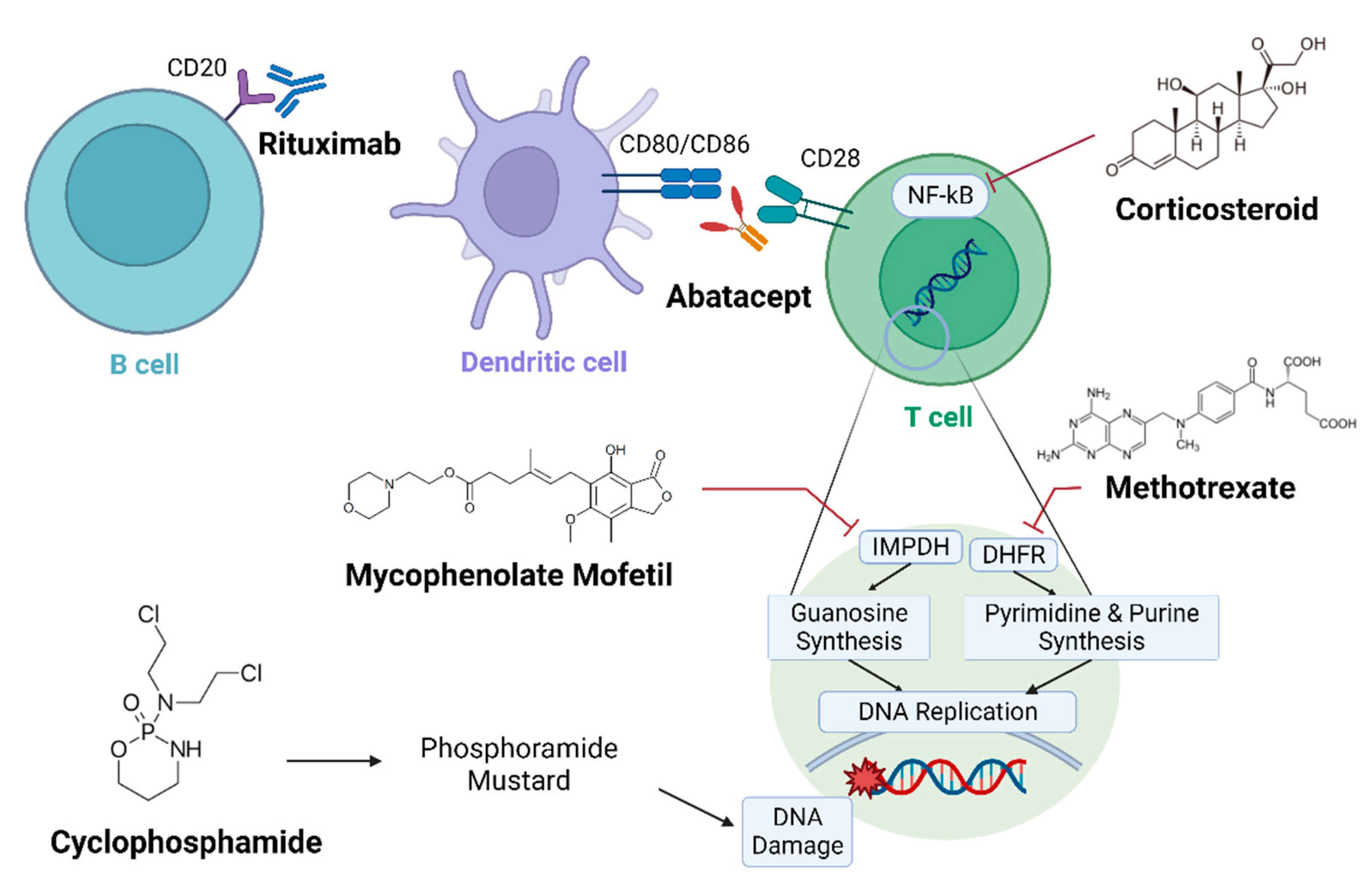 Preprints 97172 g001