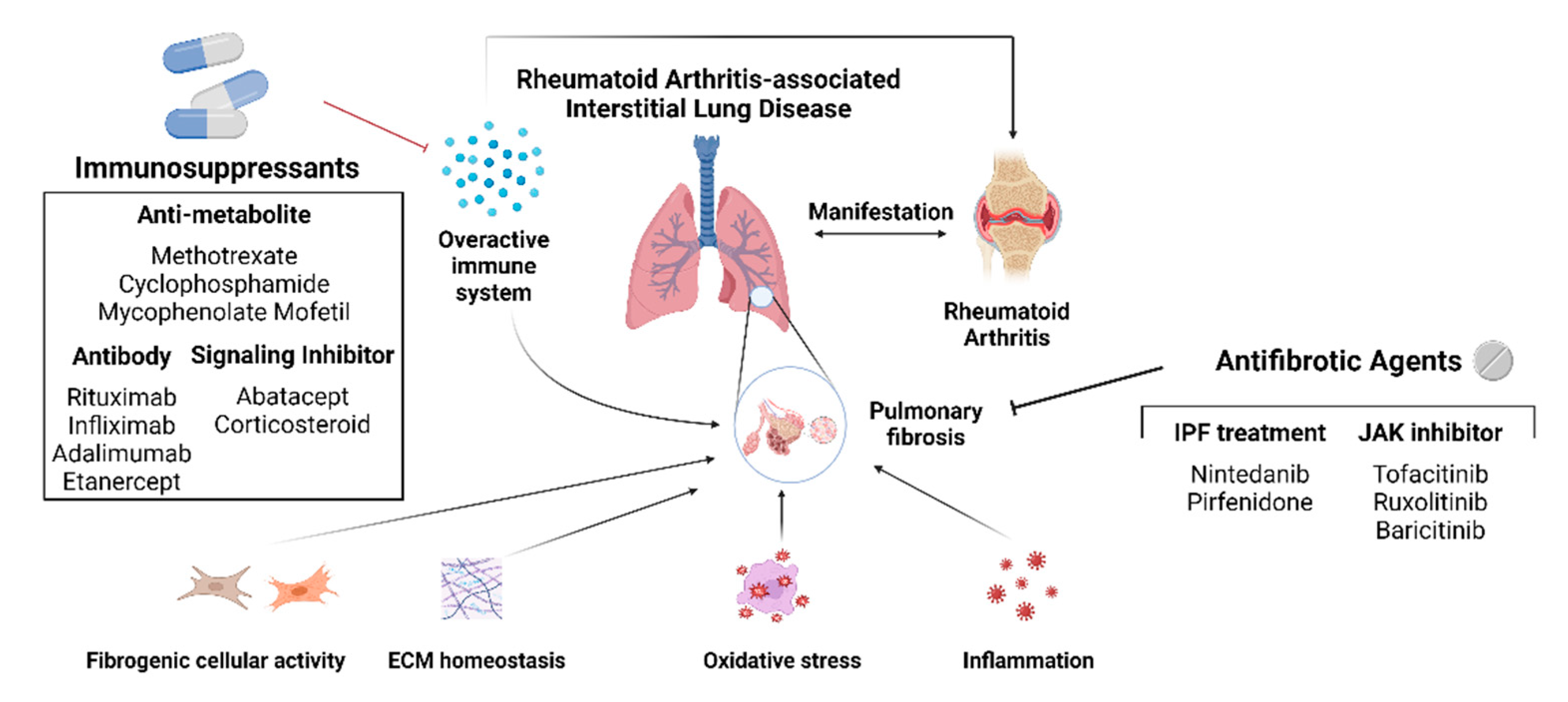 Preprints 97172 g002