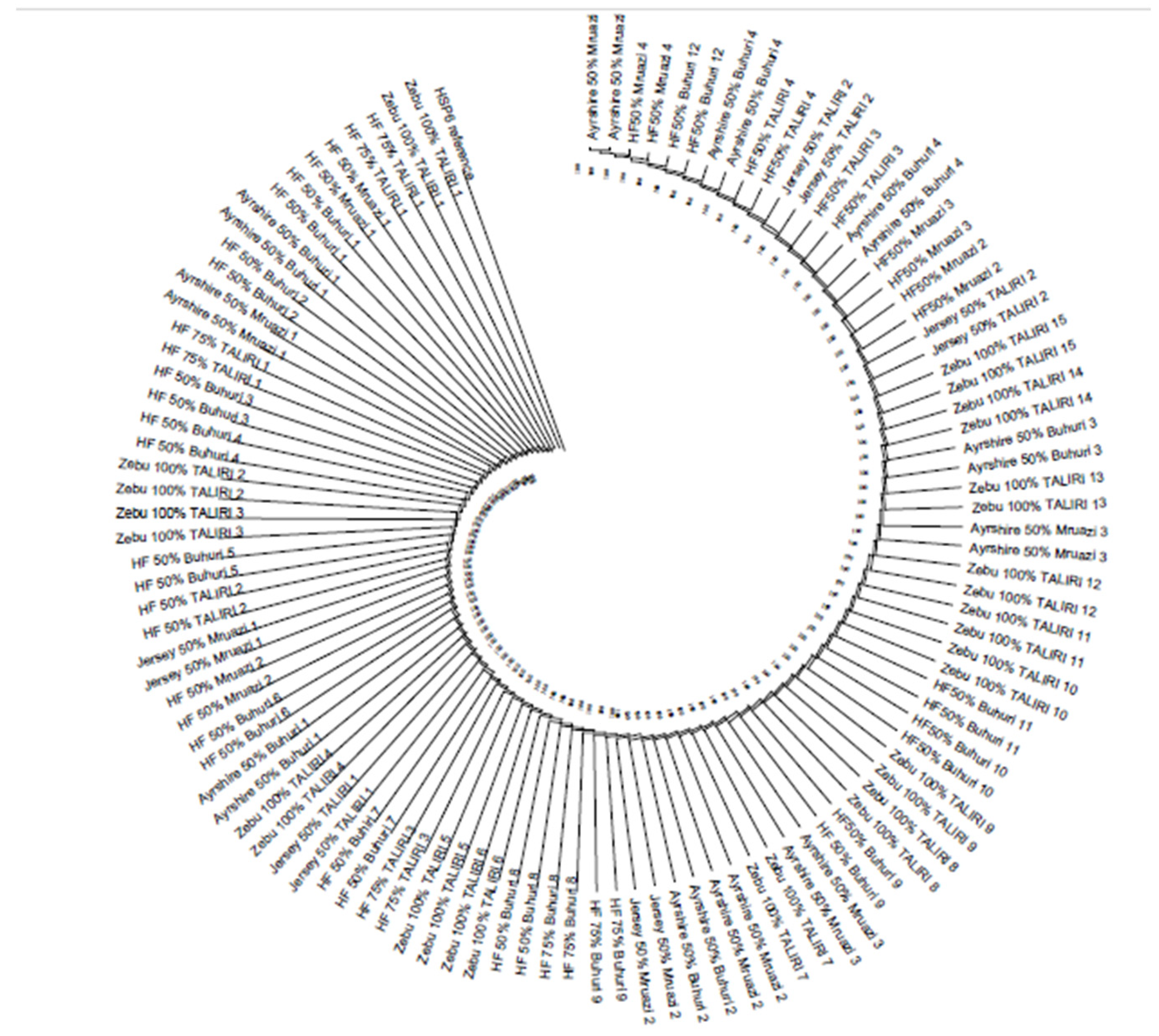 Preprints 160904 g002