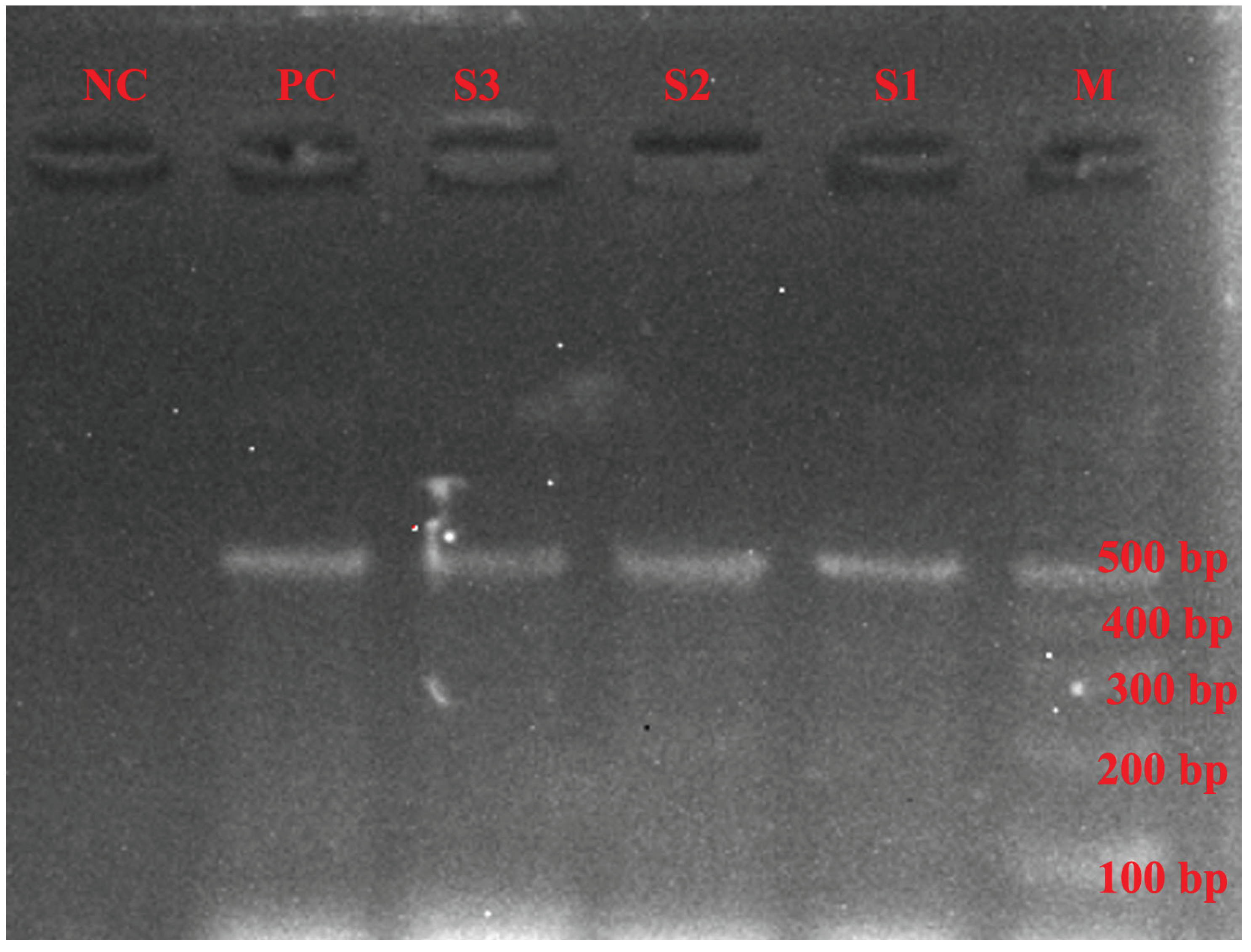 Preprints 160904 g004