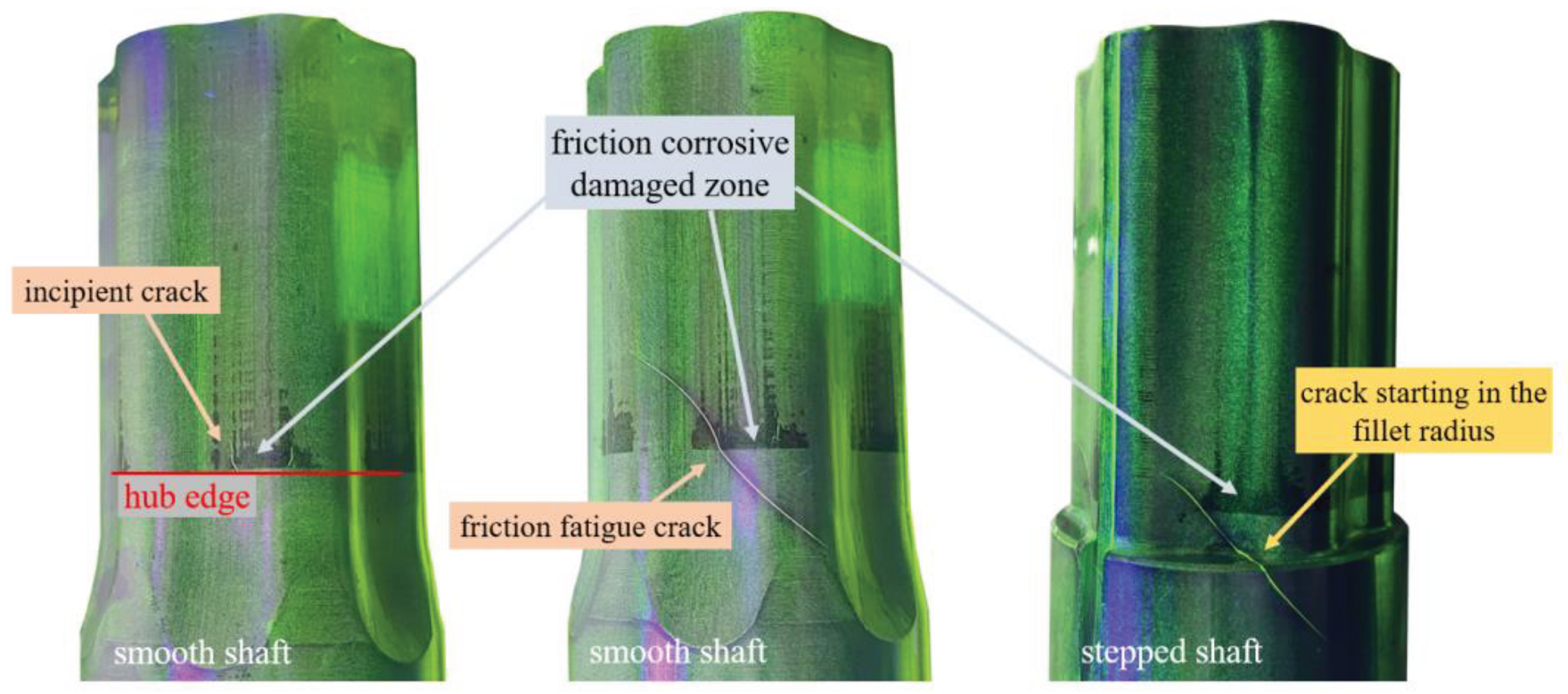 Preprints 102624 g014