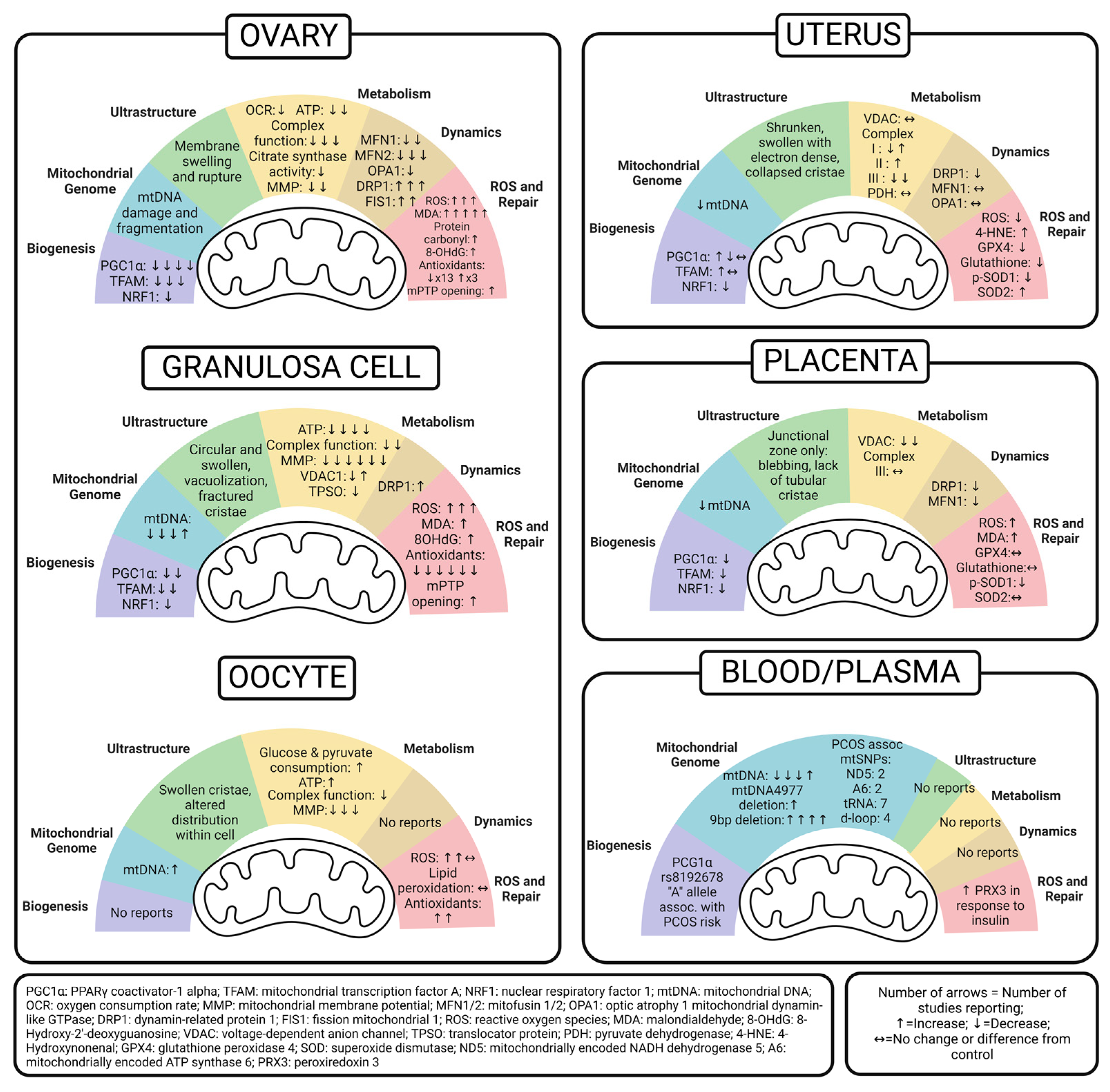 Preprints 80564 g002