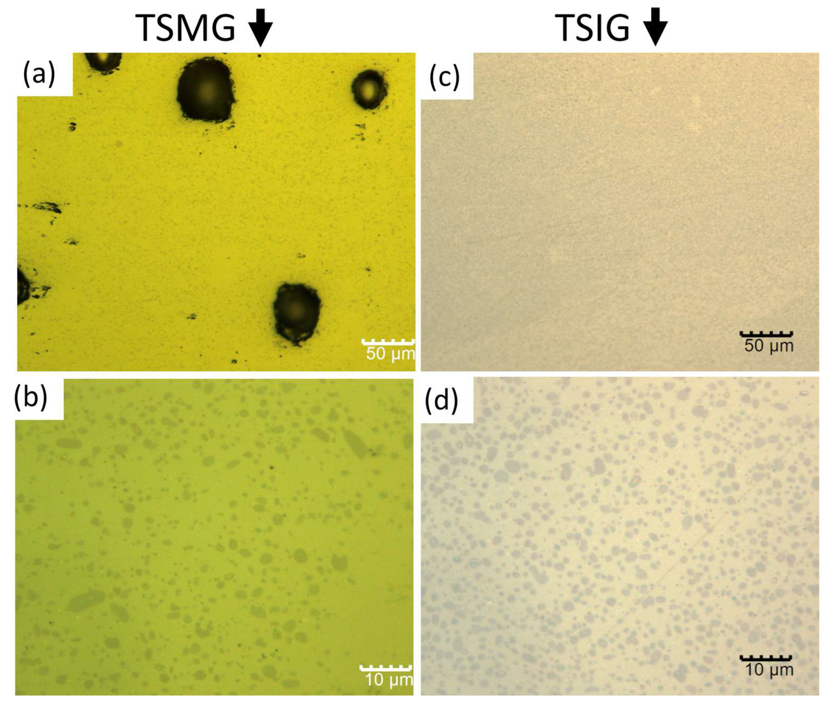 Preprints 203420 g004