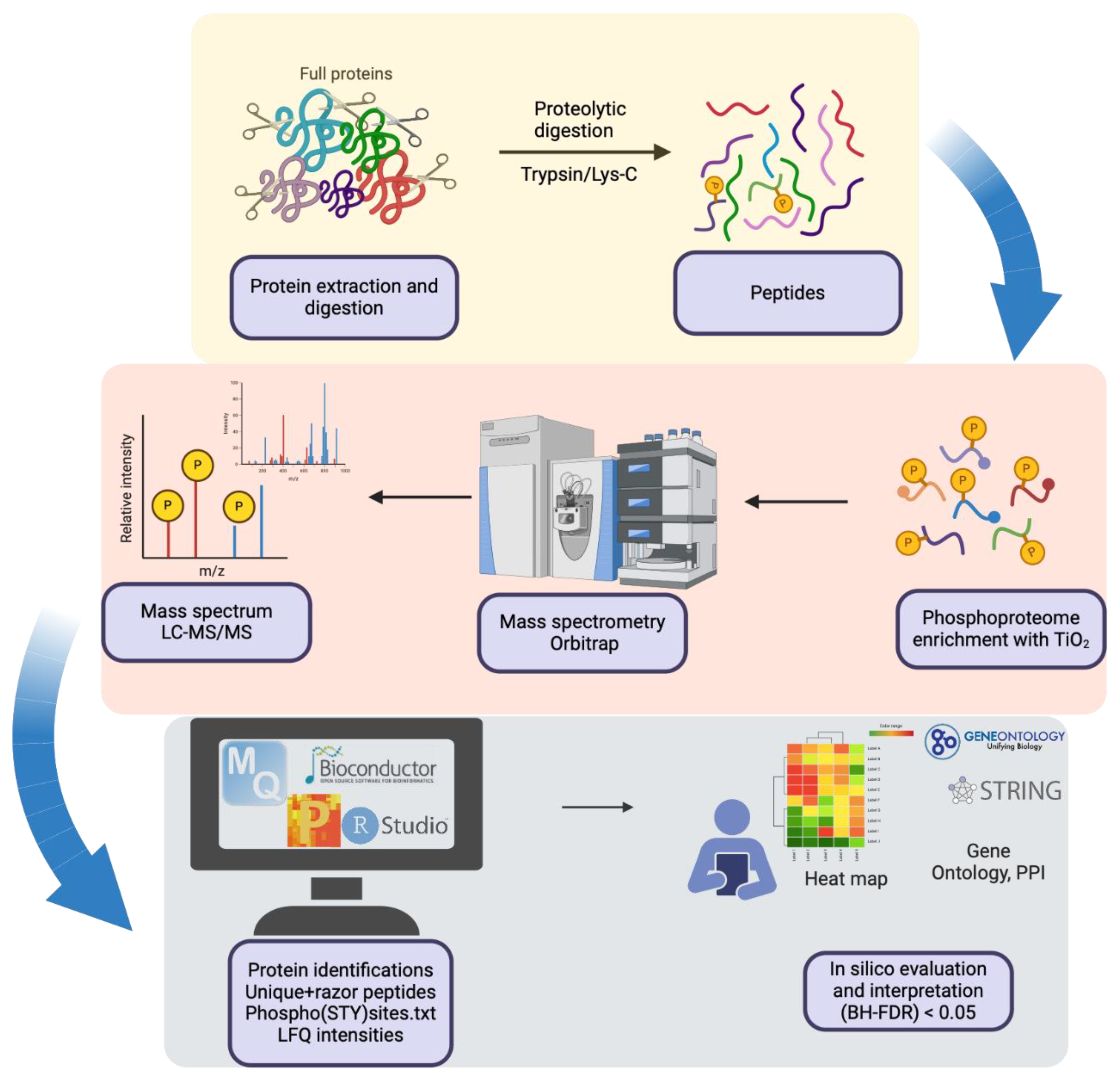 Preprints 139190 g001