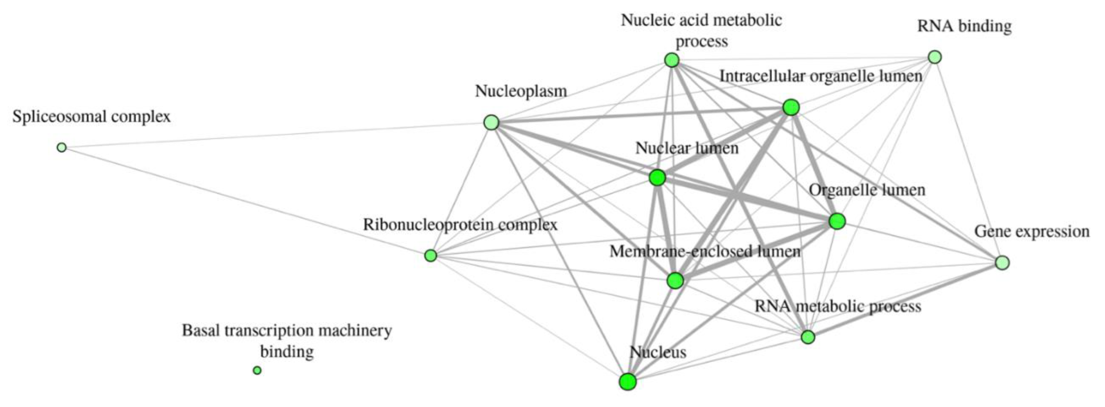 Preprints 139190 g005