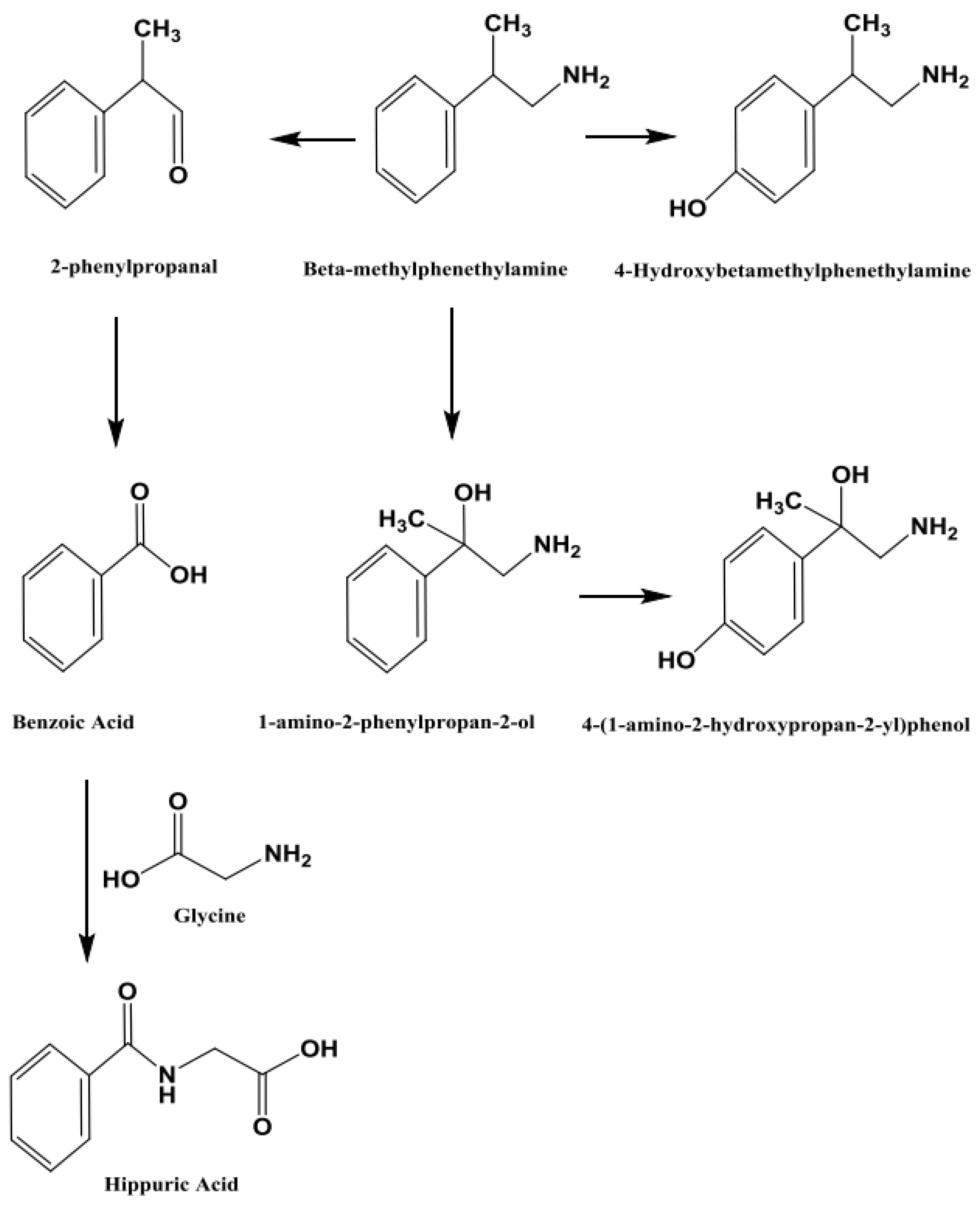Preprints 180804 g009