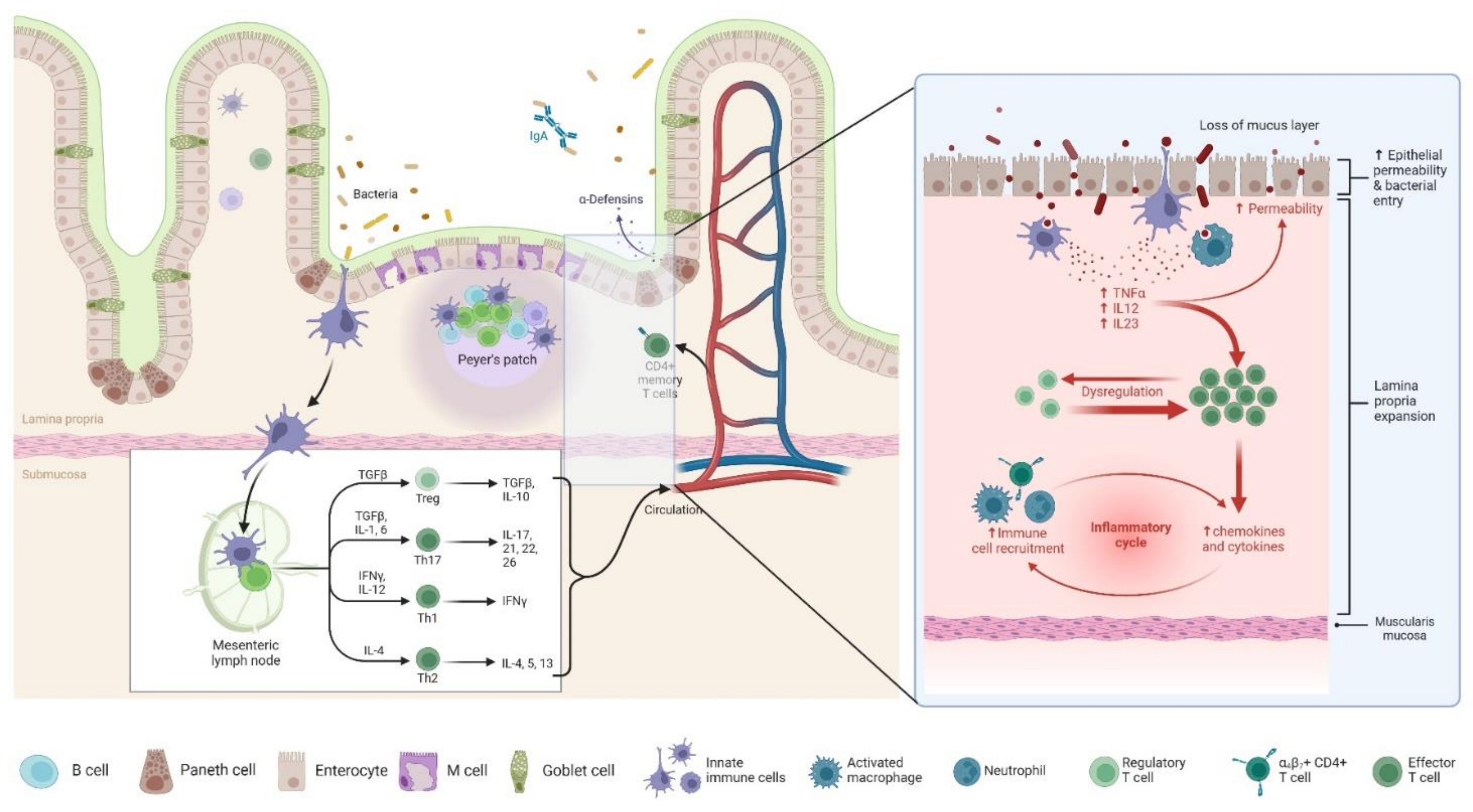 Preprints 152199 g002