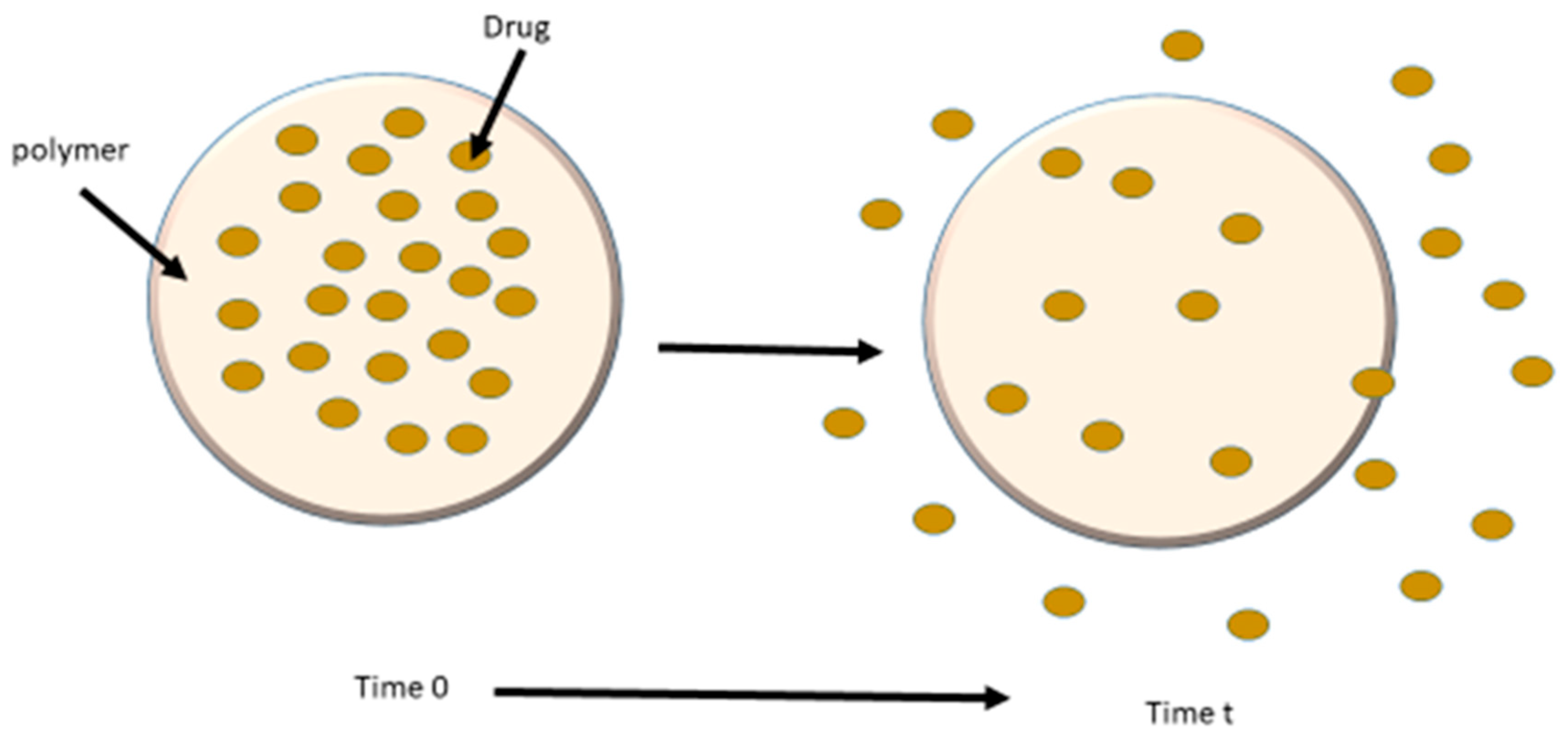 Preprints 206499 g002